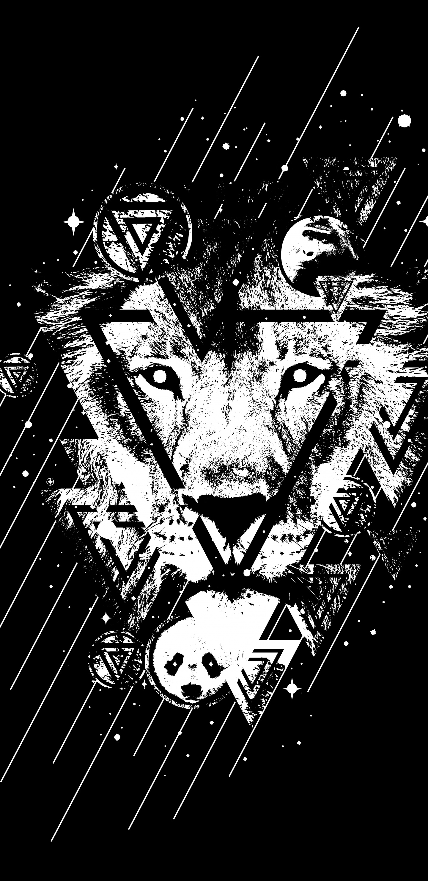 Bosquejo de León Blanco y Negro. Wallpaper in 1440x2960 Resolution