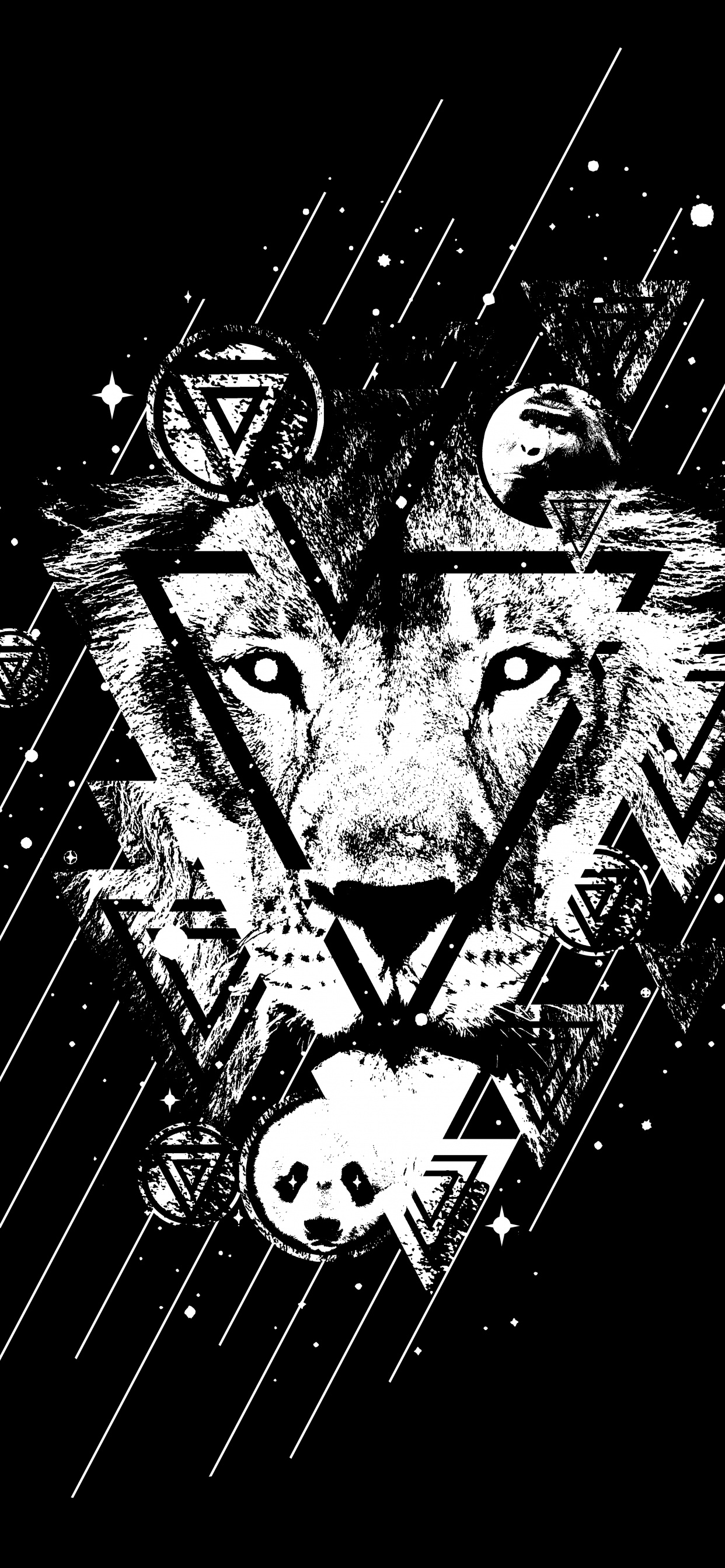 Croquis de Lion Noir et Blanc. Wallpaper in 1242x2688 Resolution