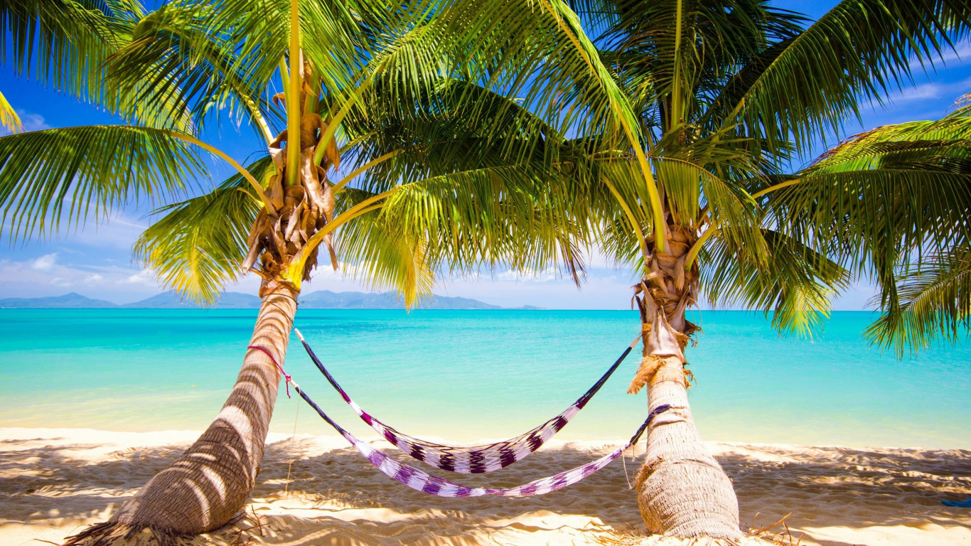 Blue and White Hammock on Beach During Daytime. Wallpaper in 1366x768 Resolution