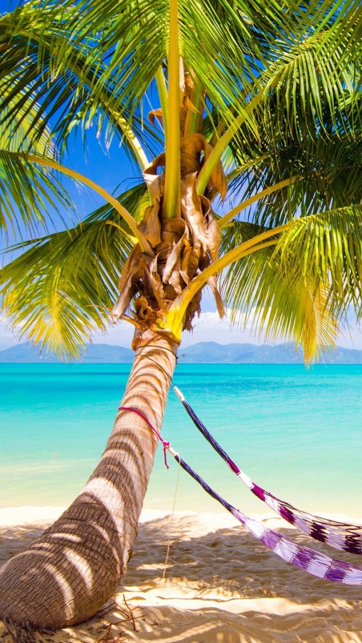 Blue and White Hammock on Beach During Daytime. Wallpaper in 720x1280 Resolution