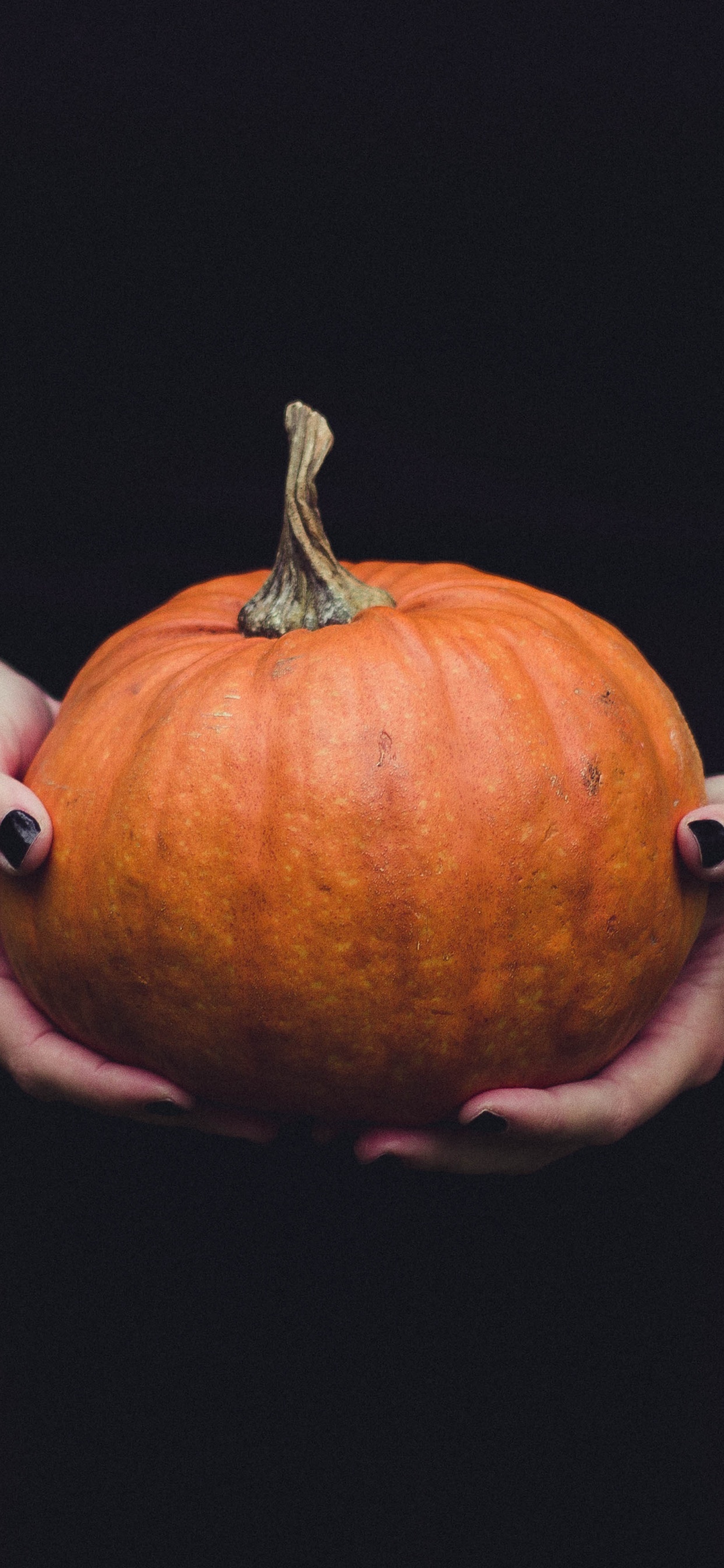 Calabaza, 冬南瓜, 橙色, 手, 南瓜 壁纸 1242x2688 允许