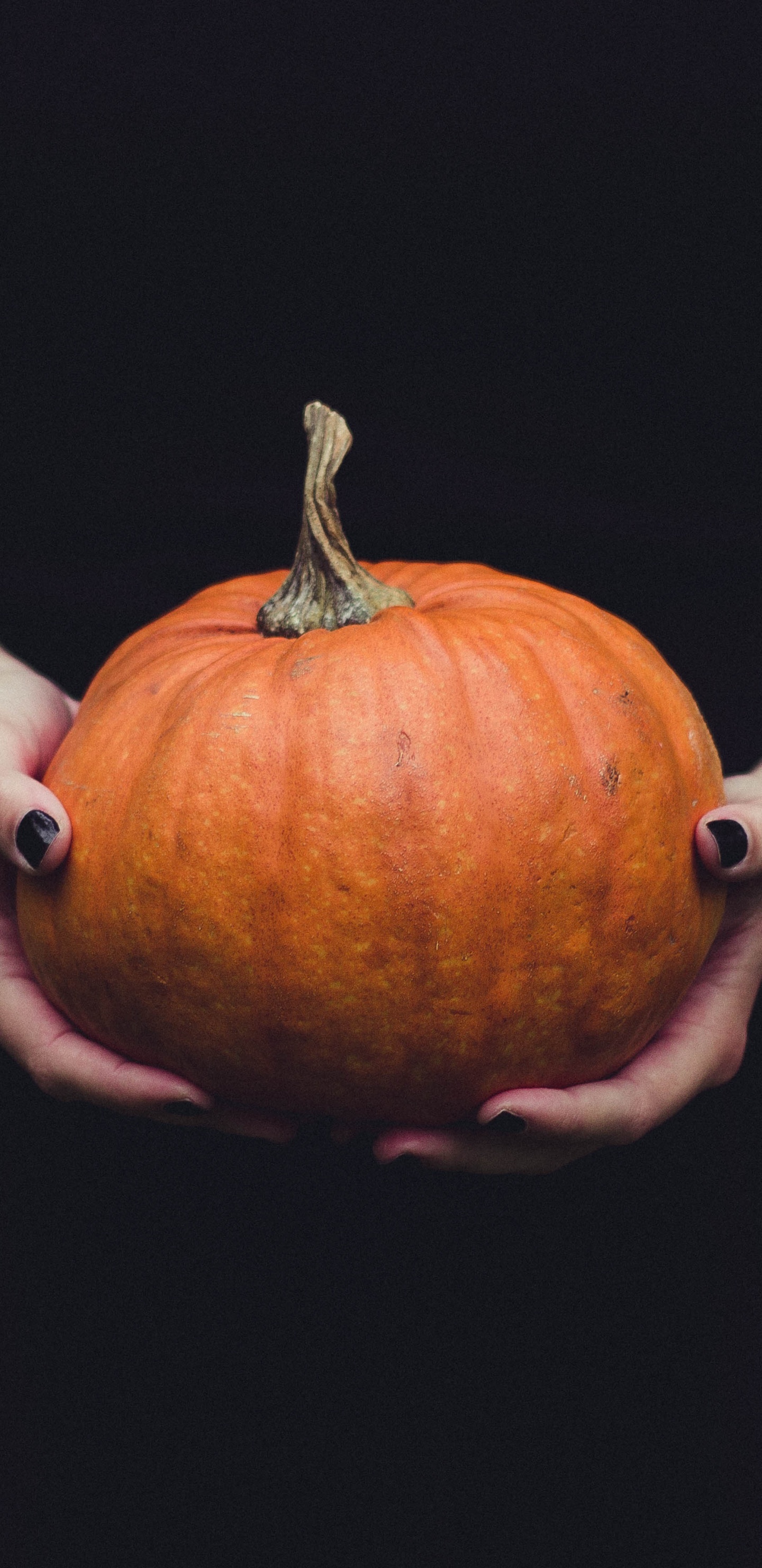 Calabaza, 冬南瓜, 橙色, 手, 南瓜 壁纸 1440x2960 允许