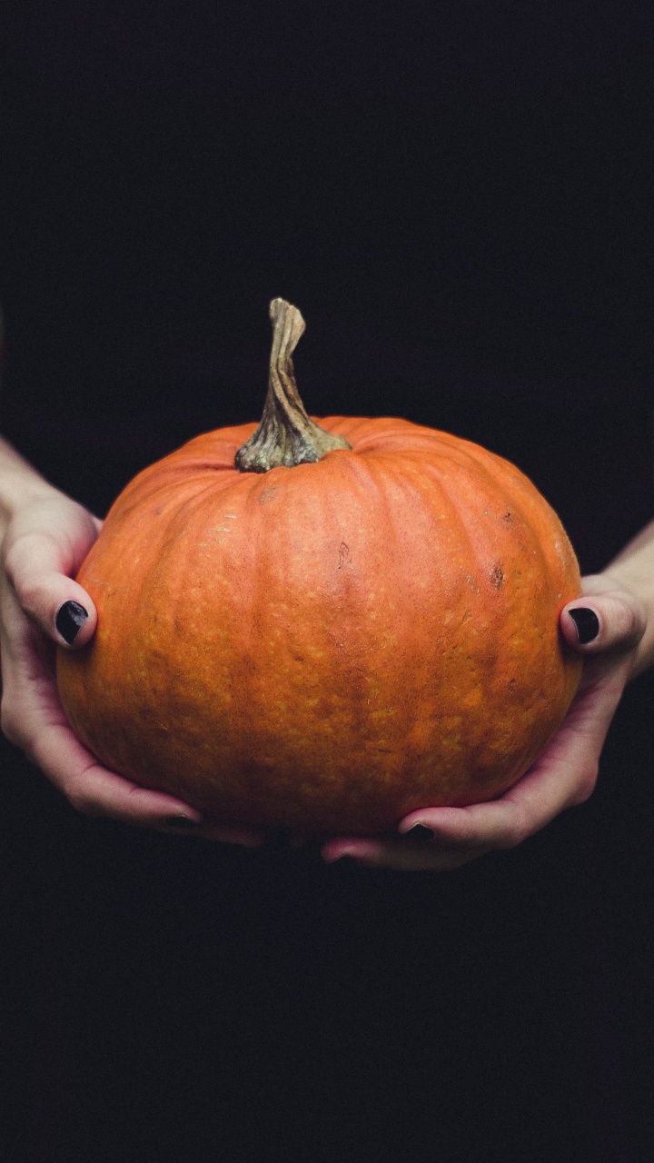 Calabaza, 冬南瓜, 橙色, 手, 南瓜 壁纸 720x1280 允许