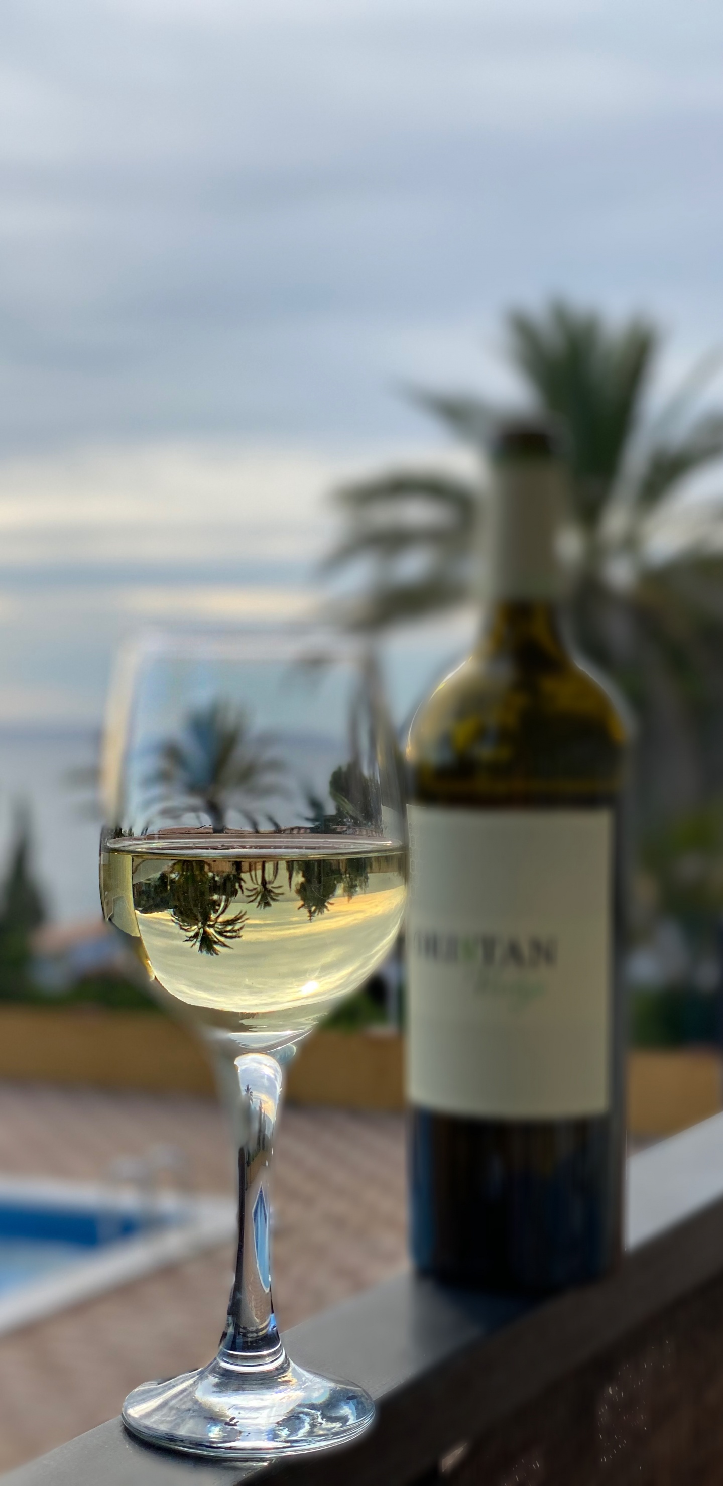 Drink, Wine, Wine Glass, Water, Stemware. Wallpaper in 1440x2960 Resolution