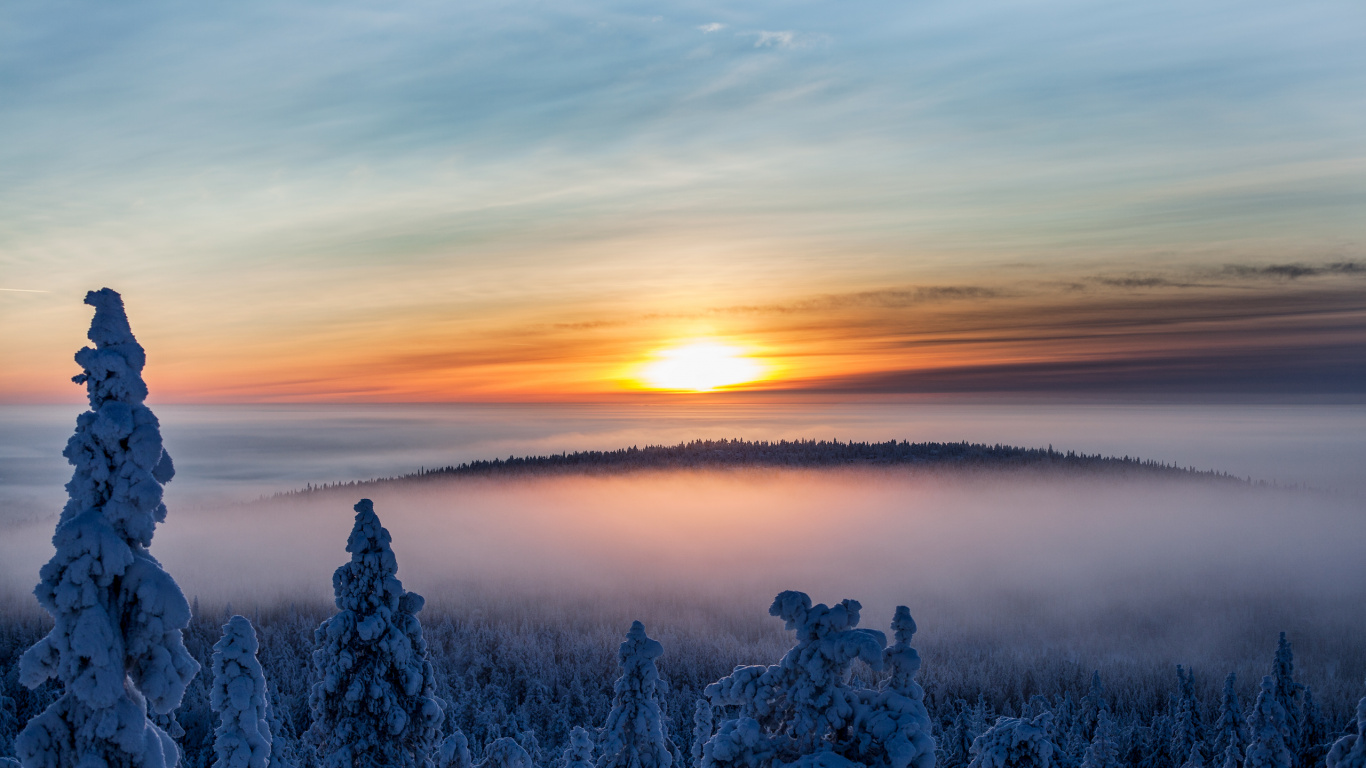 Weißer Und Blauer Himmel Über Den Bäumen. Wallpaper in 1366x768 Resolution