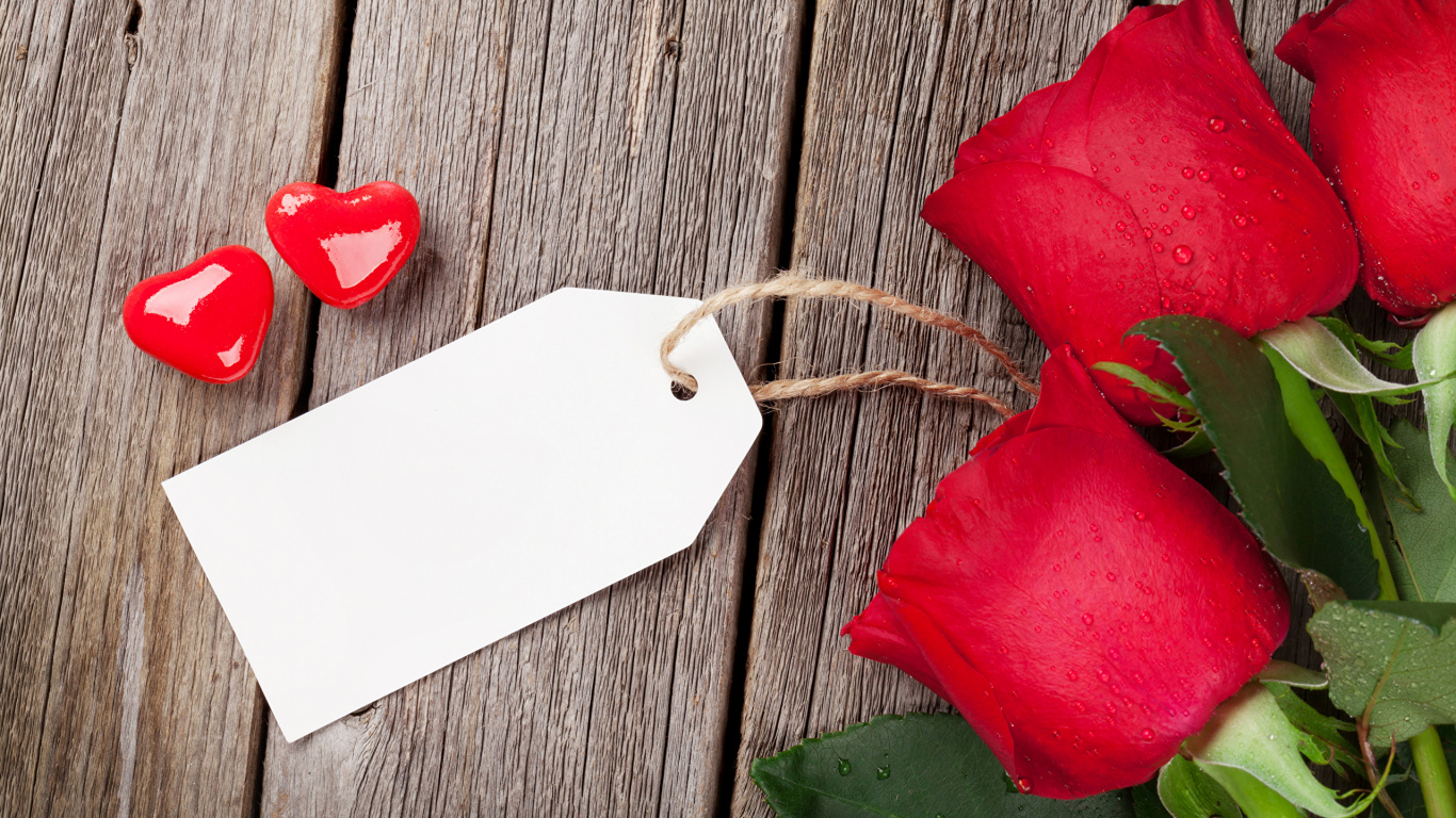 Red Rose Beside White Paper. Wallpaper in 1366x768 Resolution