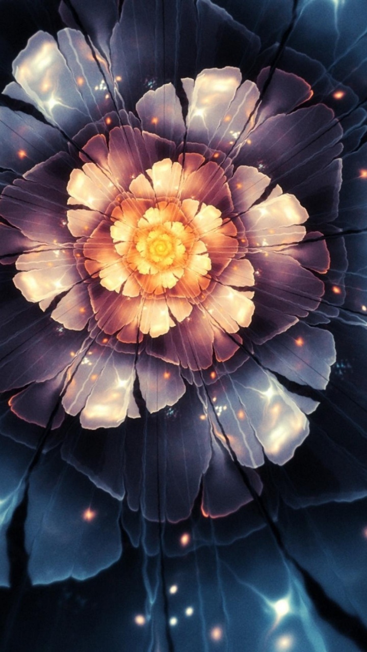 Blaue Und Gelbe Blume in Der Makroobjektivfotografie. Wallpaper in 720x1280 Resolution