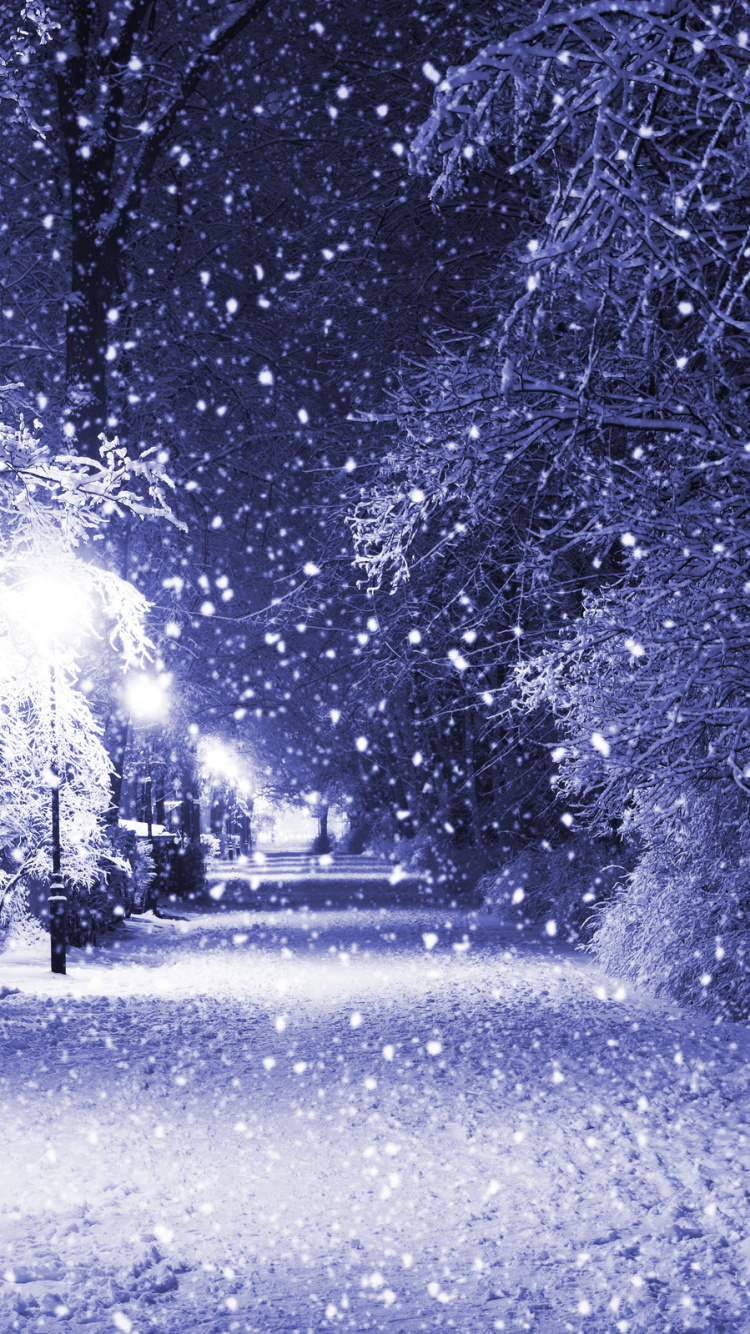 Schneebedeckte Straße Zwischen Bäumen Tagsüber. Wallpaper in 750x1334 Resolution