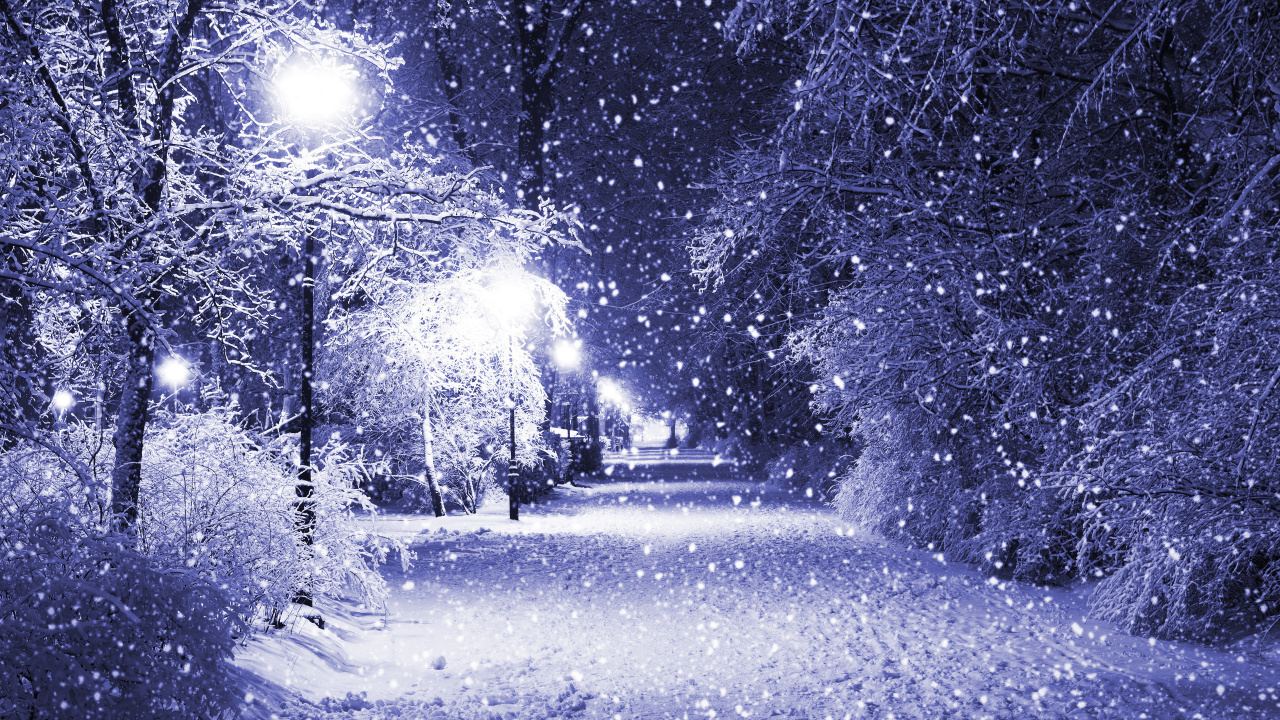 Snow Covered Road Between Trees During Daytime. Wallpaper in 1280x720 Resolution