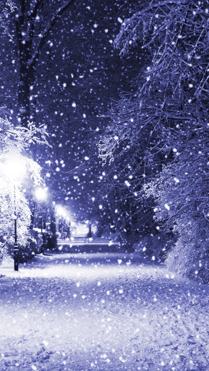 Snow Covered Road Between Trees During Daytime. Wallpaper in 720x1280 Resolution