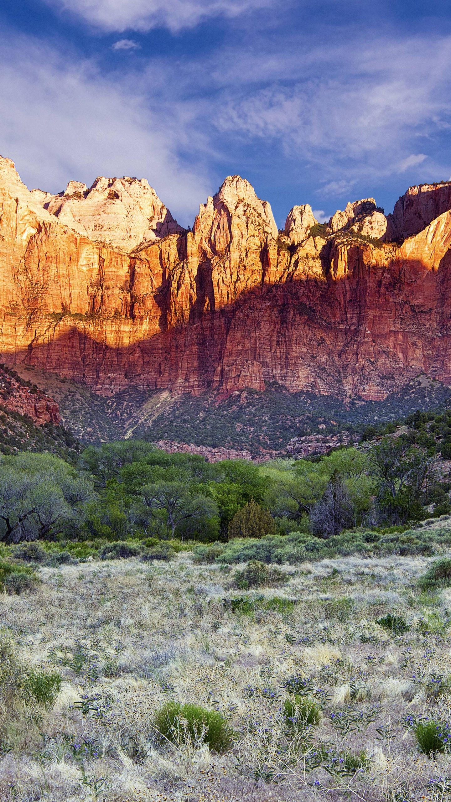Montaña Rocosa Marrón Bajo el Cielo Nublado Durante el Día. Wallpaper in 1440x2560 Resolution