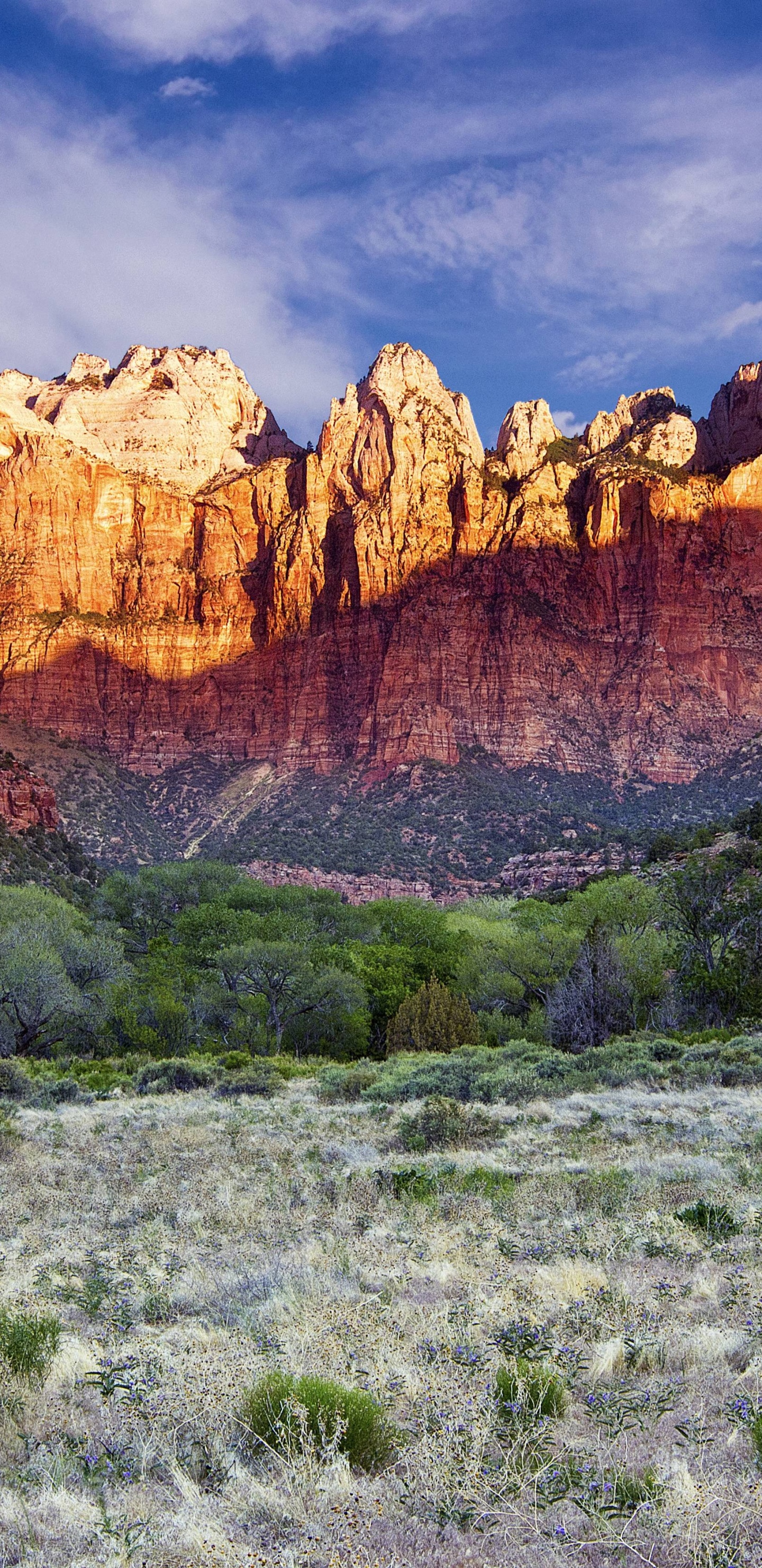 Montaña Rocosa Marrón Bajo el Cielo Nublado Durante el Día. Wallpaper in 1440x2960 Resolution