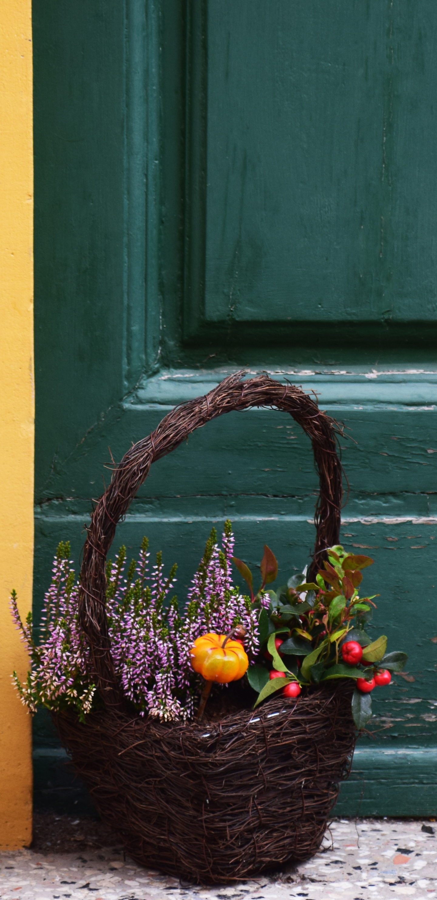 Panier en Osier Marron Avec Des Feuilles Vertes Sur Sol en Béton Gris. Wallpaper in 1440x2960 Resolution
