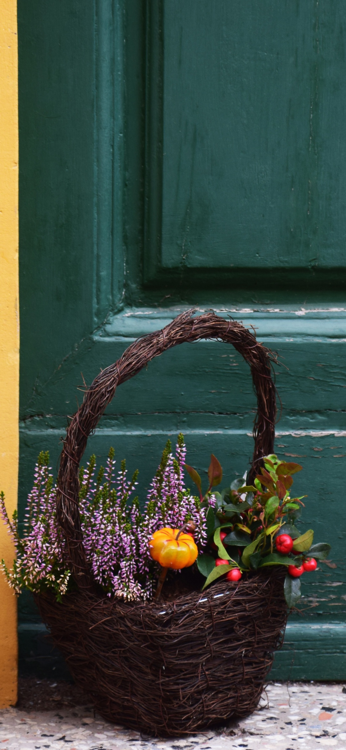 Brown Wicker Basket With Green Leaves on Gray Concrete Floor. Wallpaper in 1125x2436 Resolution