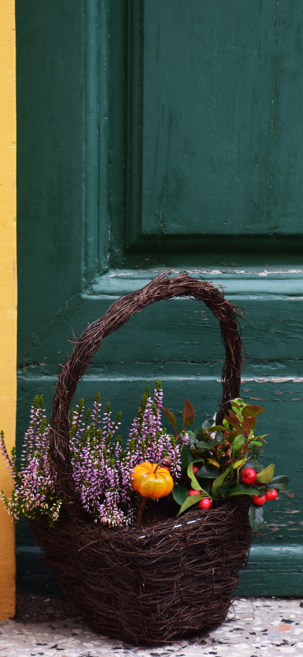 Brown Wicker Basket With Green Leaves on Gray Concrete Floor. Wallpaper in 1242x2688 Resolution