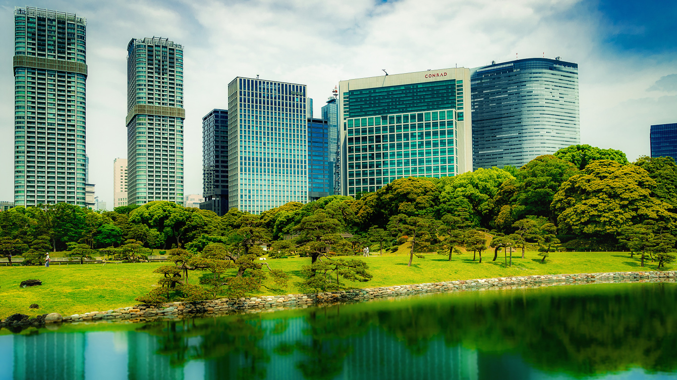 Green Grass Field Near Body of Water During Daytime. Wallpaper in 1366x768 Resolution