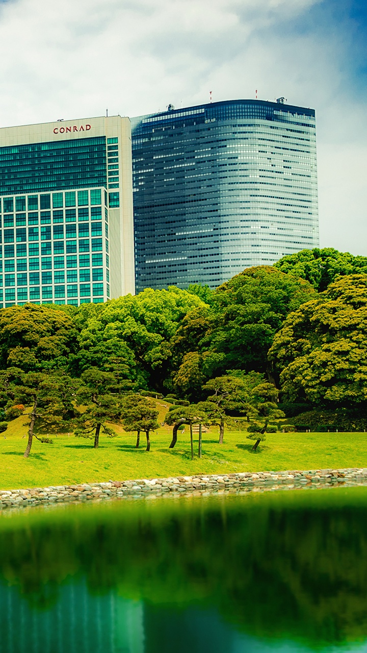 Green Grass Field Near Body of Water During Daytime. Wallpaper in 720x1280 Resolution