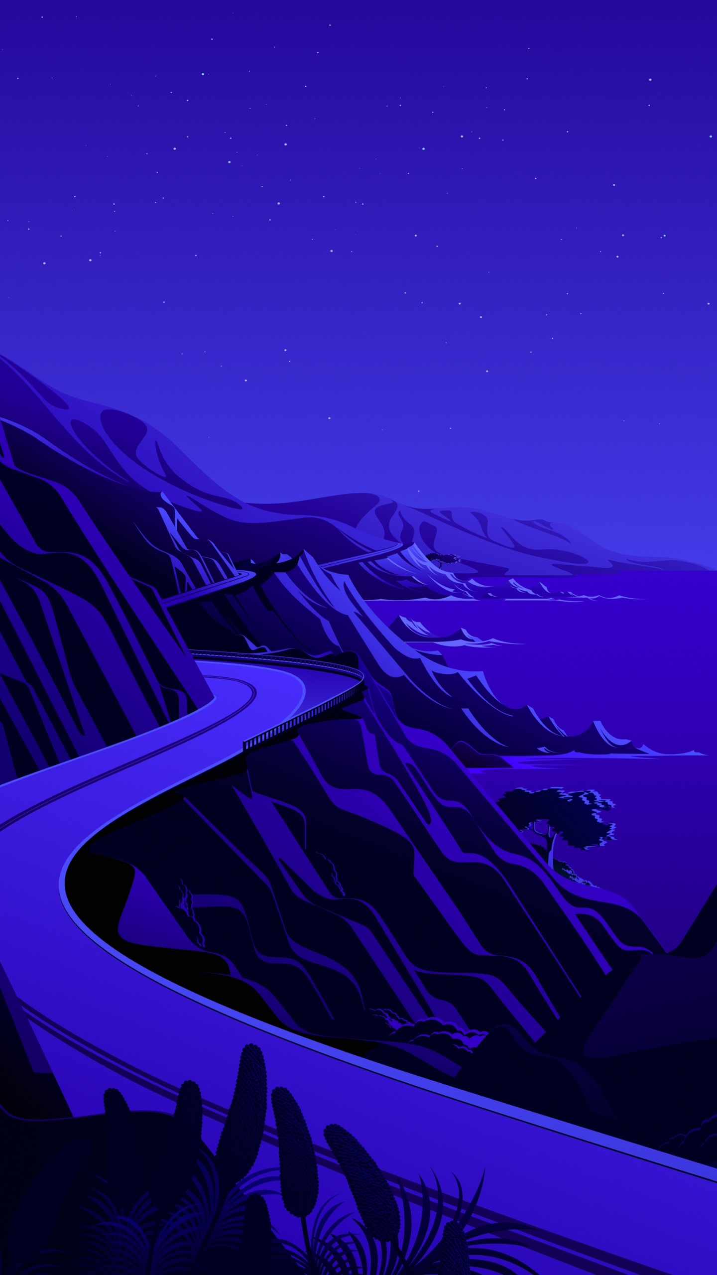 IPad, Ipad Pro, IPad Air, IOS 14, IOS 14.2. Wallpaper in 1440x2560 Resolution