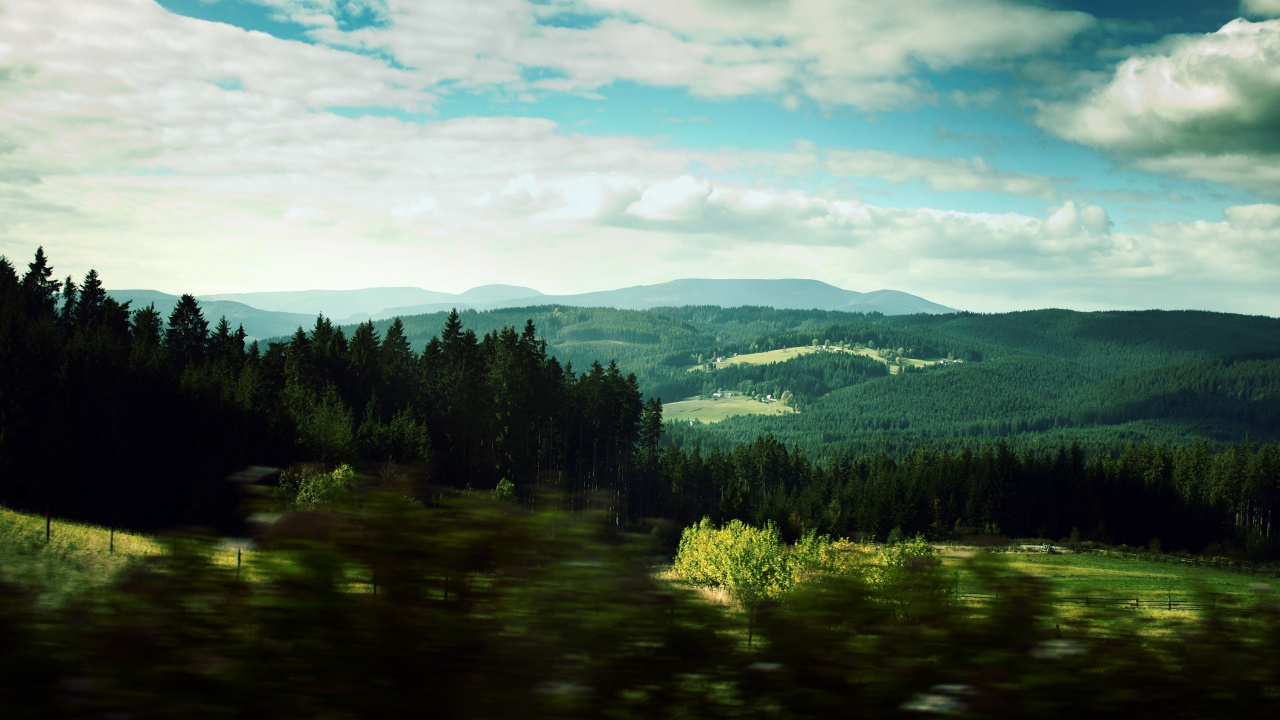 Green Trees Under Blue Sky During Daytime. Wallpaper in 1280x720 Resolution