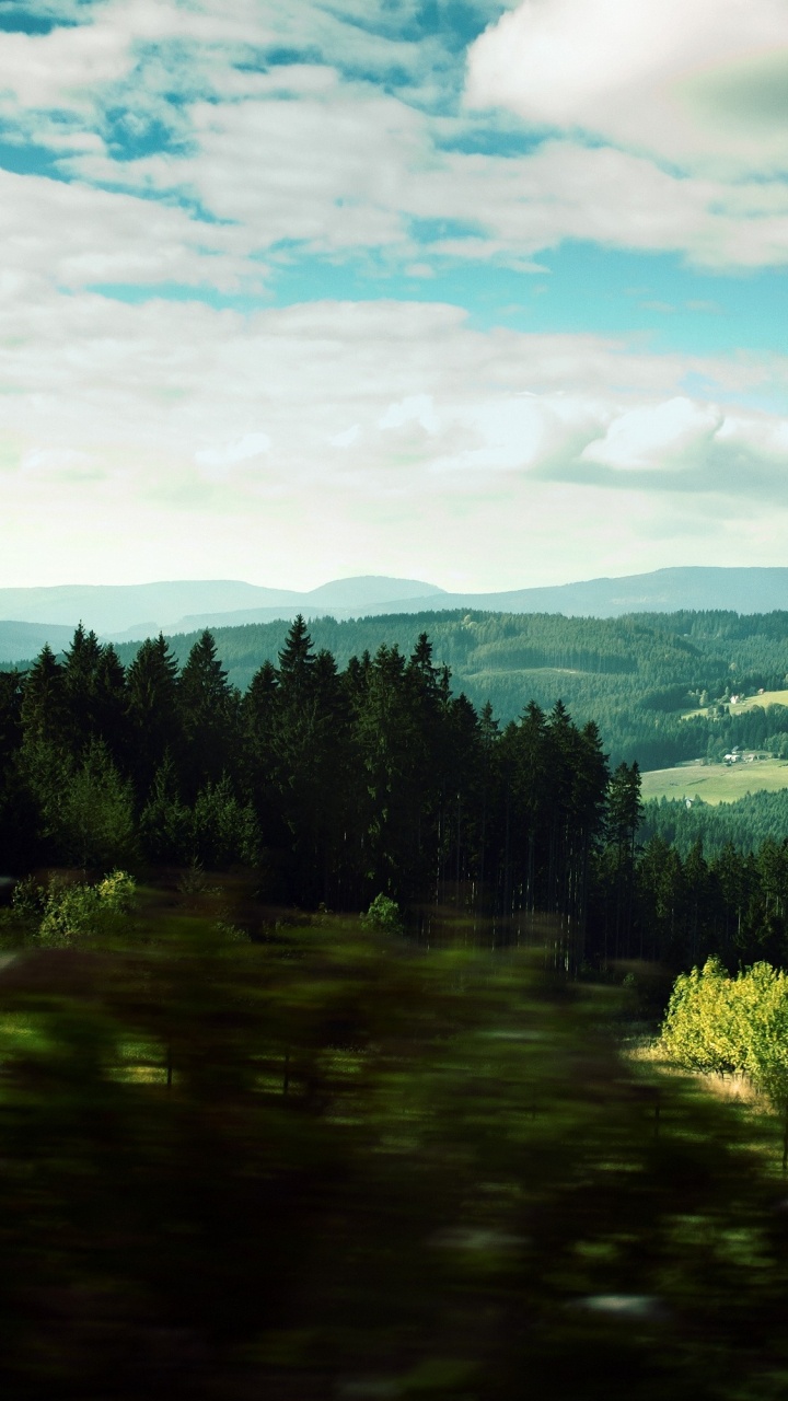 Green Trees Under Blue Sky During Daytime. Wallpaper in 720x1280 Resolution