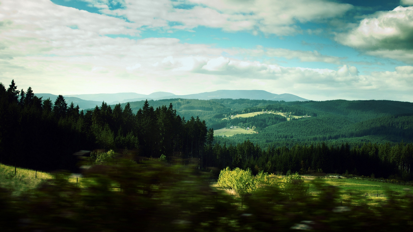 Tagsüber Grüne Bäume Unter Blauem Himmel. Wallpaper in 1366x768 Resolution