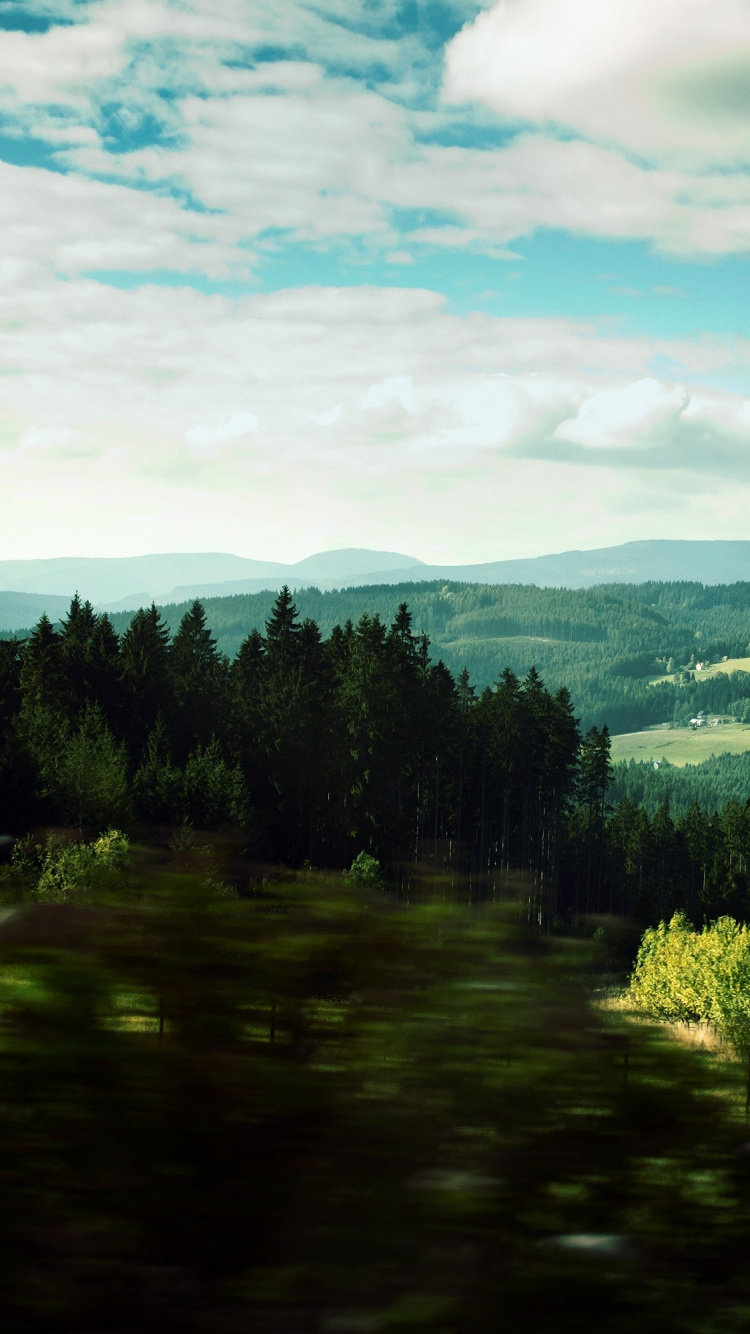 Tagsüber Grüne Bäume Unter Blauem Himmel. Wallpaper in 750x1334 Resolution