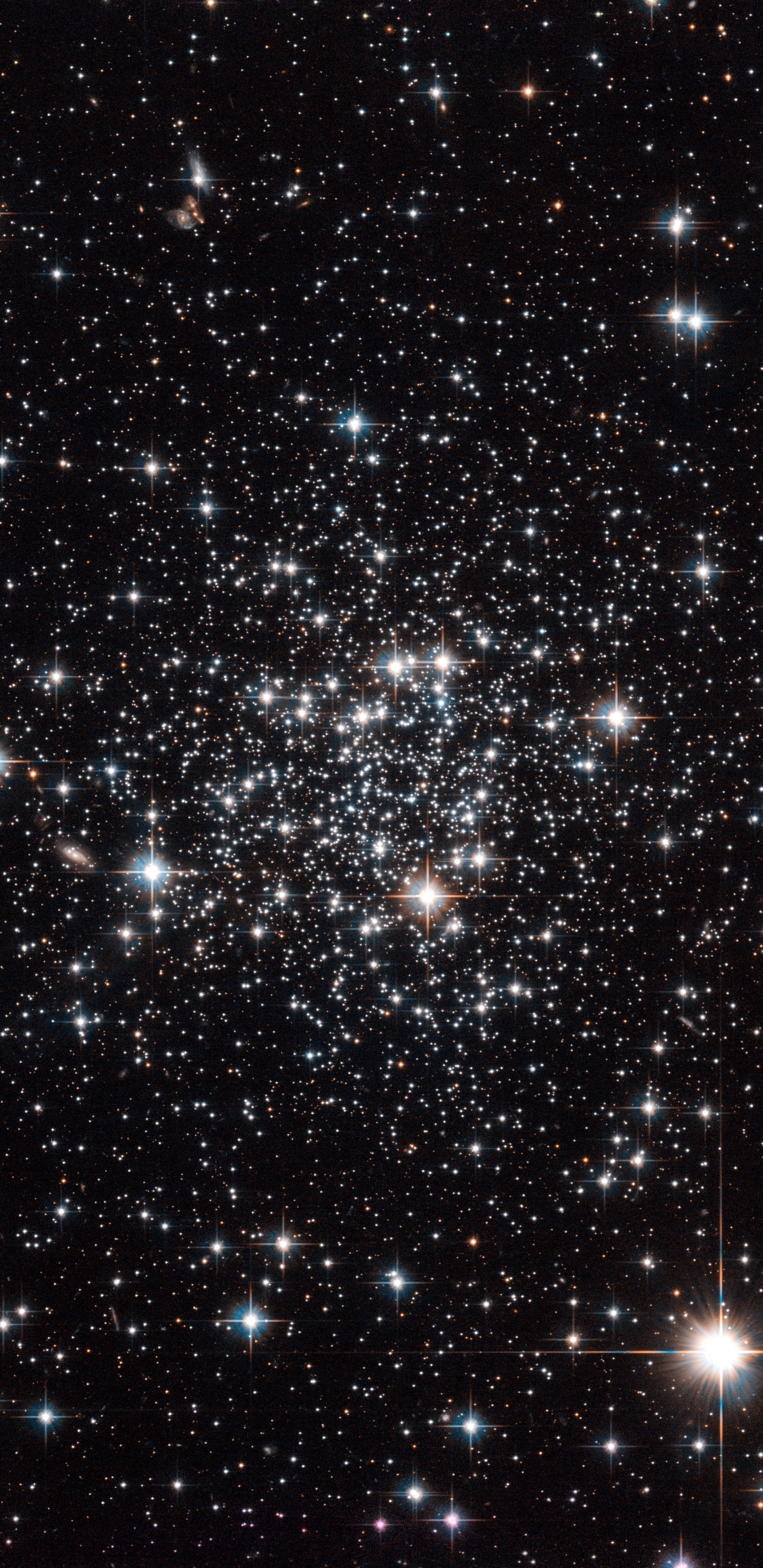 球状星团, 哈勃太空望远镜, 银河系, 明星, 天文学 壁纸 1440x2960 允许