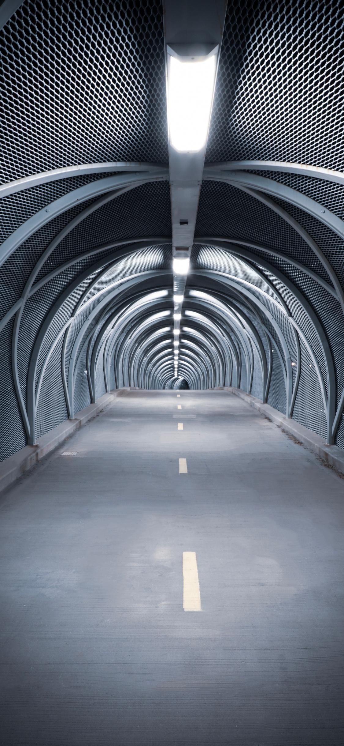 Brauner Holzflur Mit Blauem Metallgeländer. Wallpaper in 1125x2436 Resolution