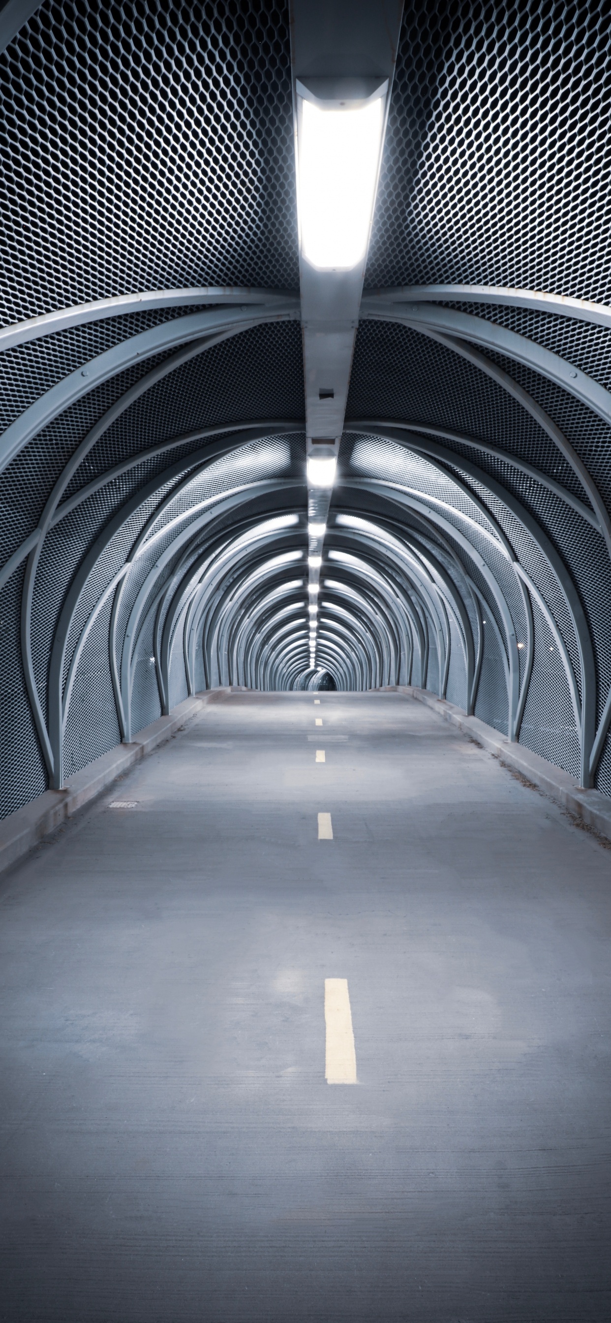 Brauner Holzflur Mit Blauem Metallgeländer. Wallpaper in 1242x2688 Resolution