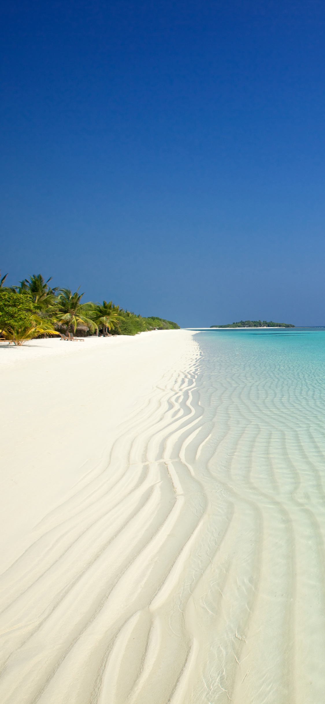 Brown Sand Near Body of Water During Daytime. Wallpaper in 1125x2436 Resolution