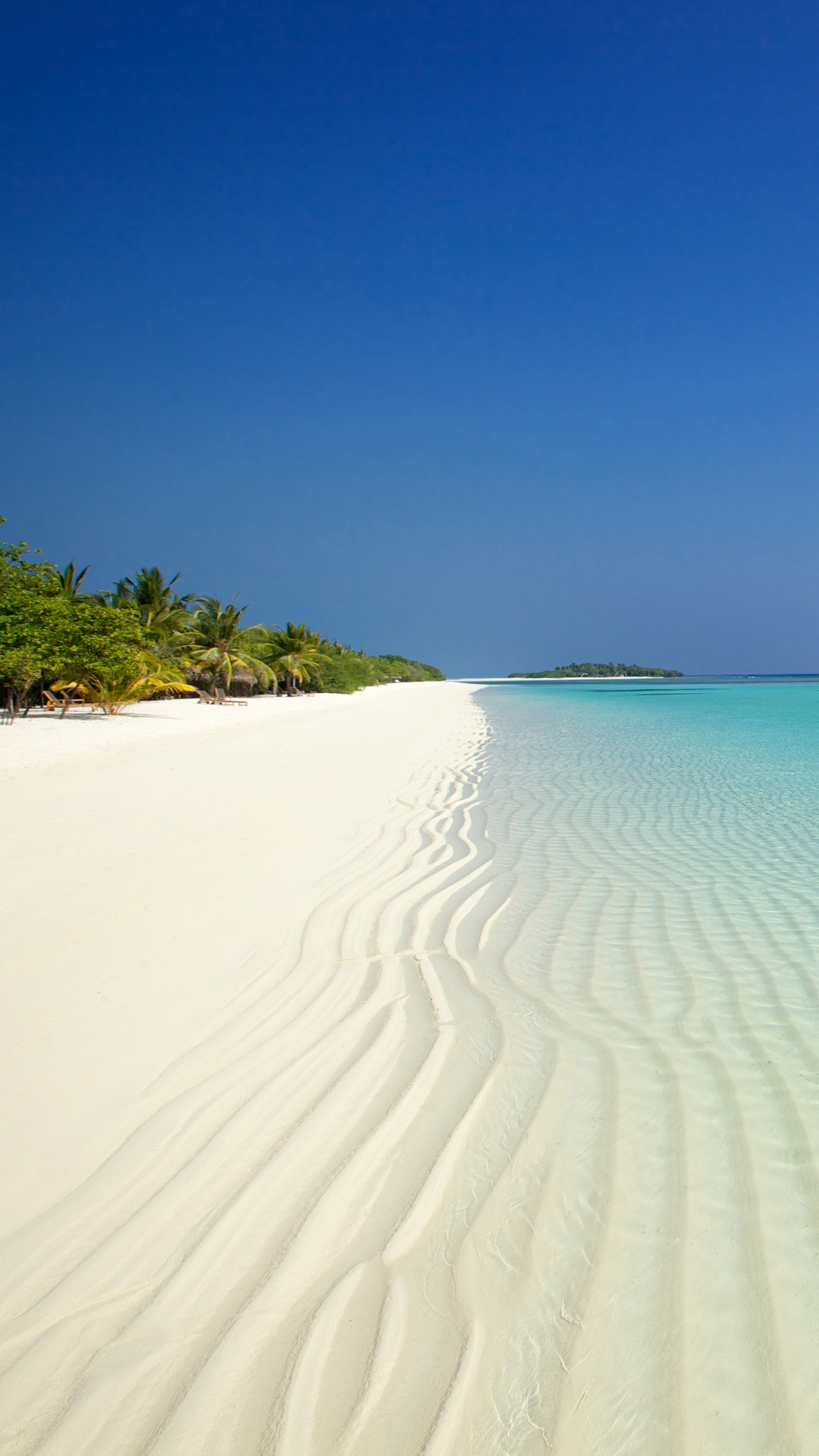 Brown Sand Near Body of Water During Daytime. Wallpaper in 1440x2560 Resolution