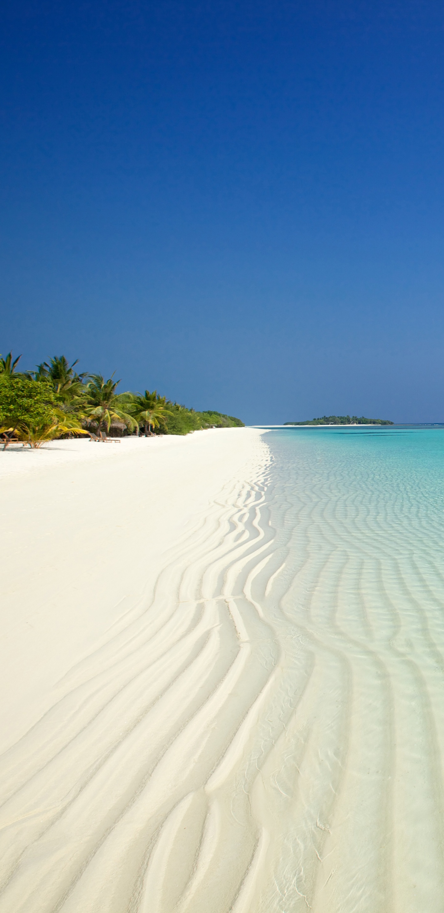 Brown Sand Near Body of Water During Daytime. Wallpaper in 1440x2960 Resolution