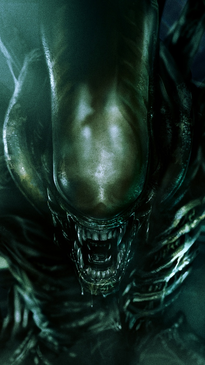 Botas de Cuero Negro Sobre Textil Blanco. Wallpaper in 720x1280 Resolution