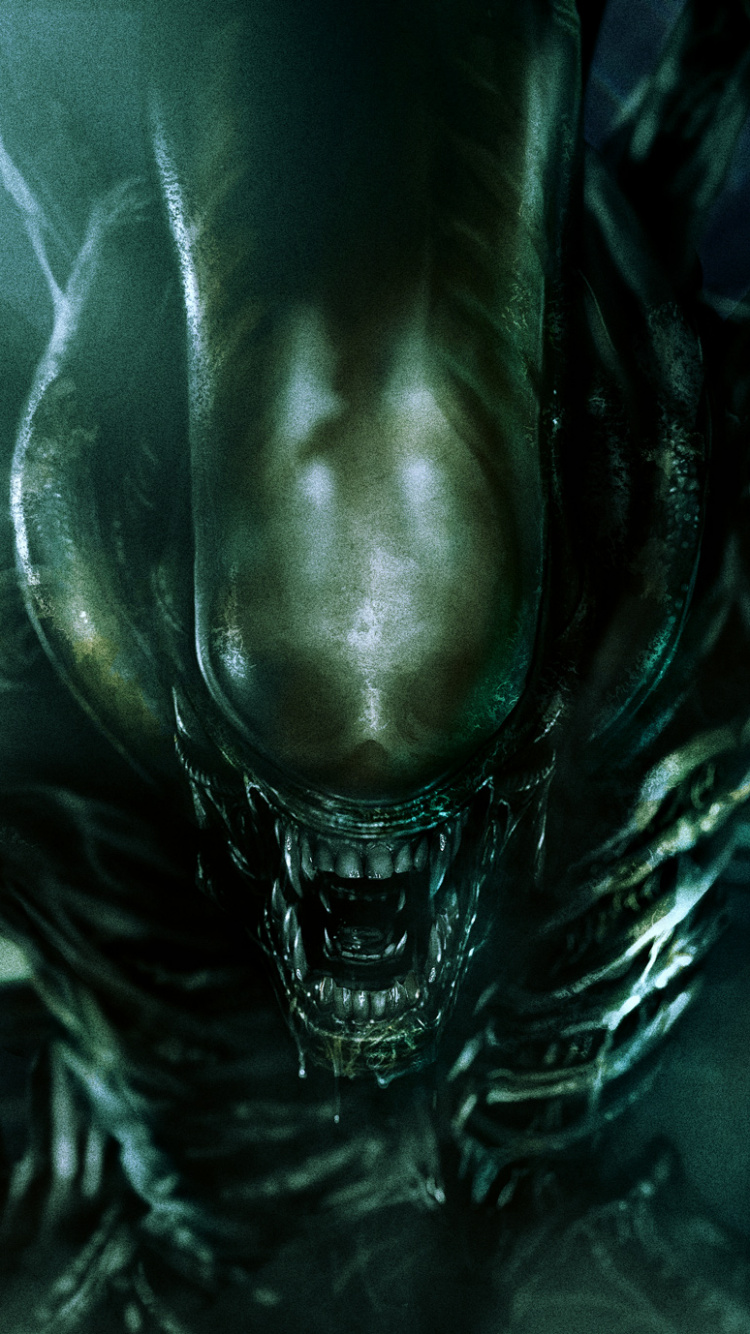 Bottes en Cuir Noir Sur Textile Blanc. Wallpaper in 750x1334 Resolution