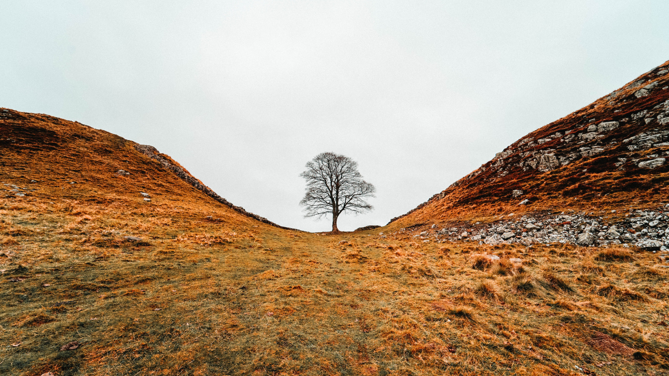 Hill, Grat, Naturlandschaft, Natürlichen Umgebung, Winter. Wallpaper in 1366x768 Resolution