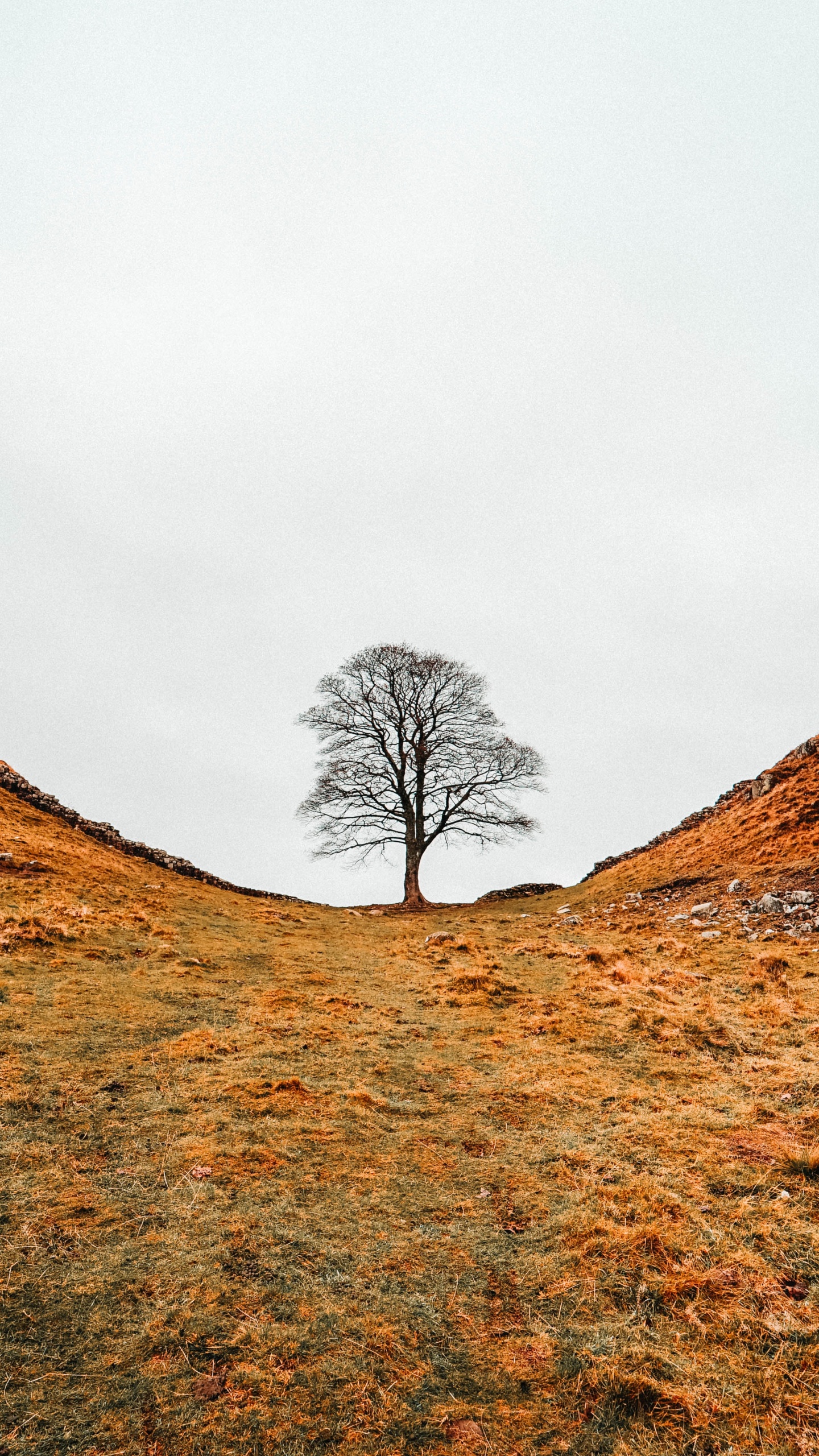 Hill, Grat, Naturlandschaft, Natürlichen Umgebung, Winter. Wallpaper in 1440x2560 Resolution