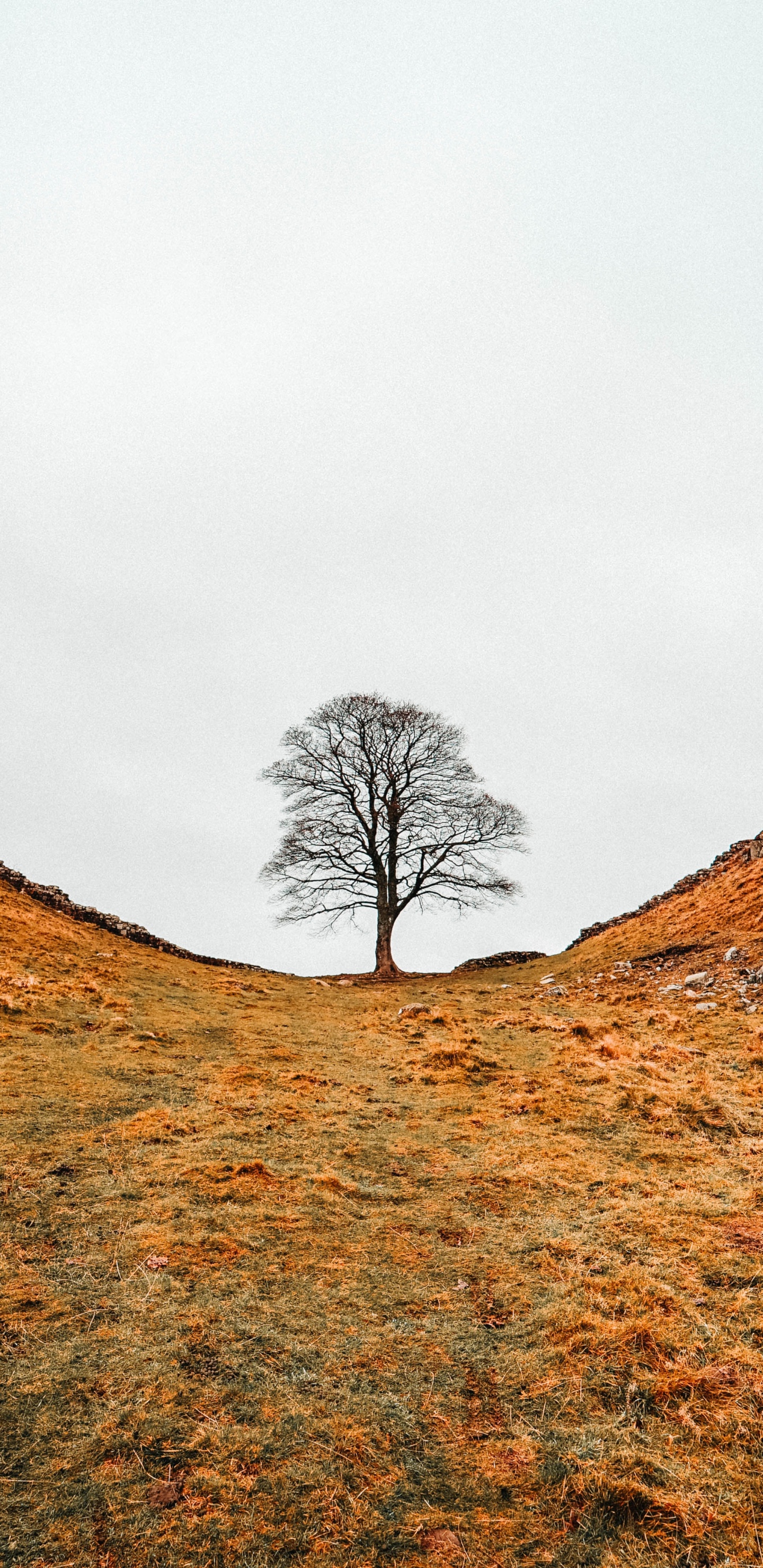 Hill, Grat, Naturlandschaft, Natürlichen Umgebung, Winter. Wallpaper in 1440x2960 Resolution