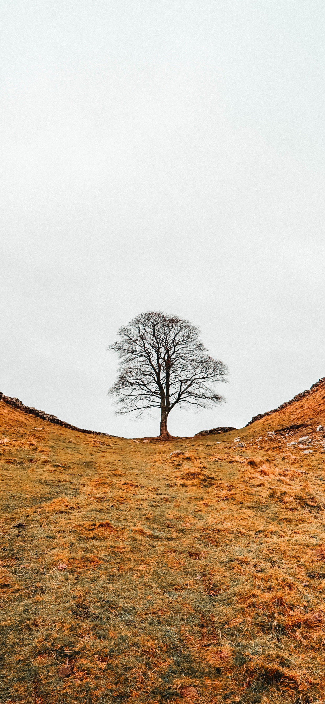 Hill, Ridge, Natural Landscape, Natural Environment, Mountain. Wallpaper in 1242x2688 Resolution