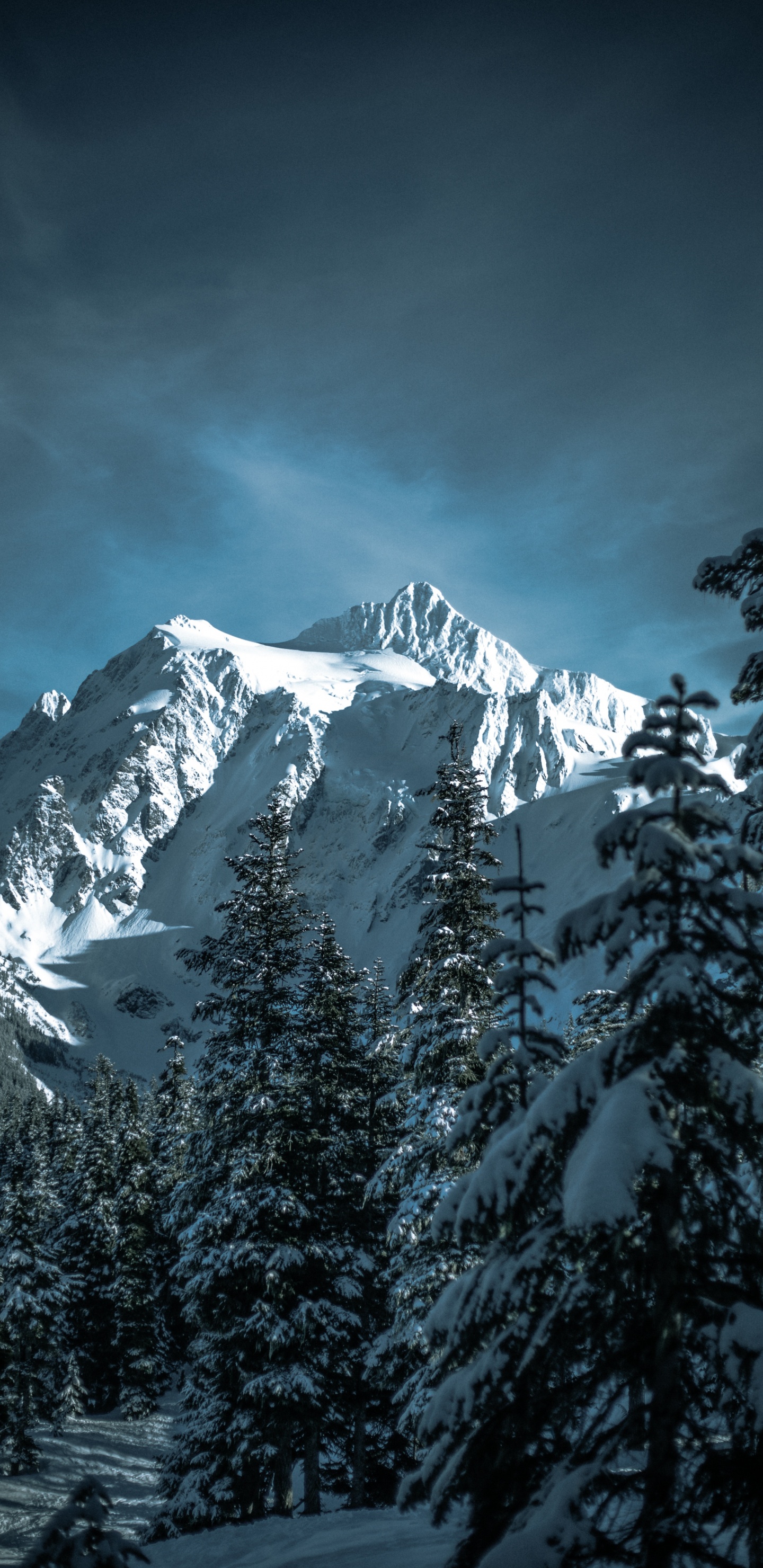 Winter, Skifahren, Schnee, Mount Shuksan, Bergigen Landschaftsformen. Wallpaper in 1440x2960 Resolution