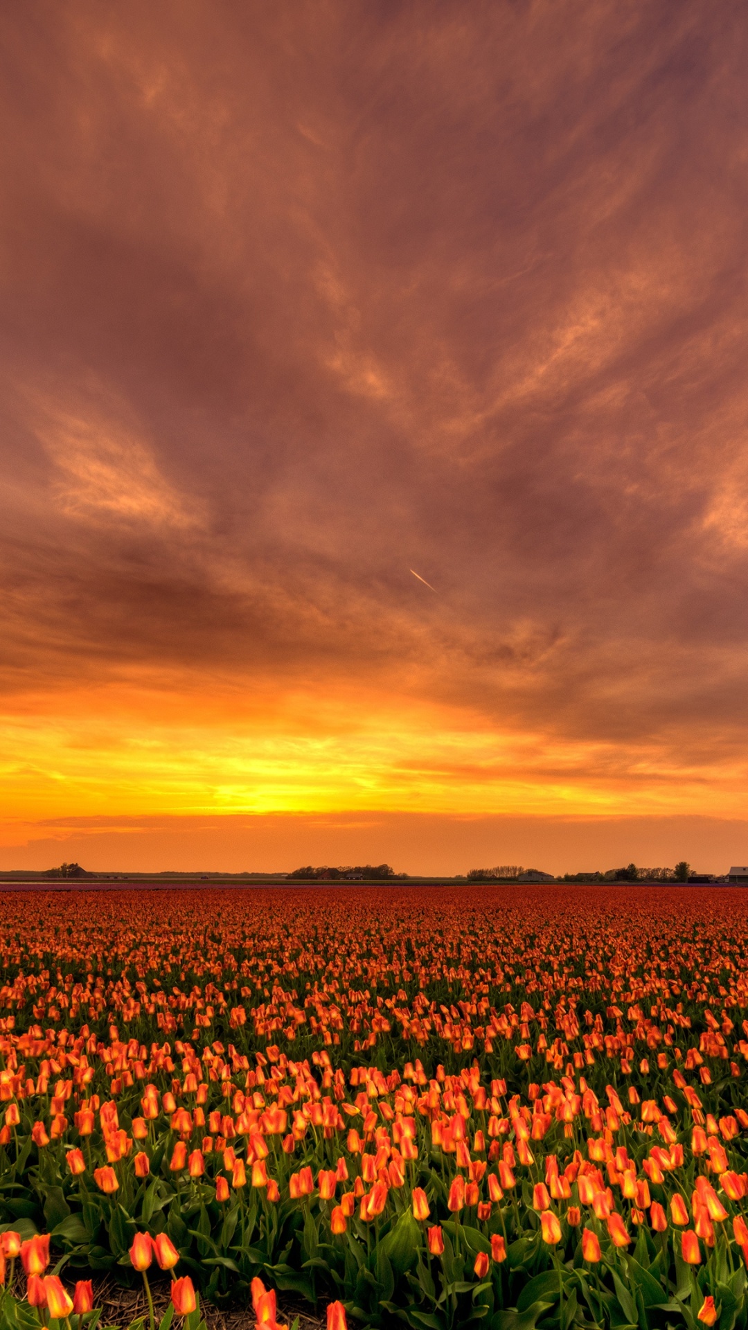 Green and Brown Field Under Cloudy Sky During Sunset. Wallpaper in 1080x1920 Resolution