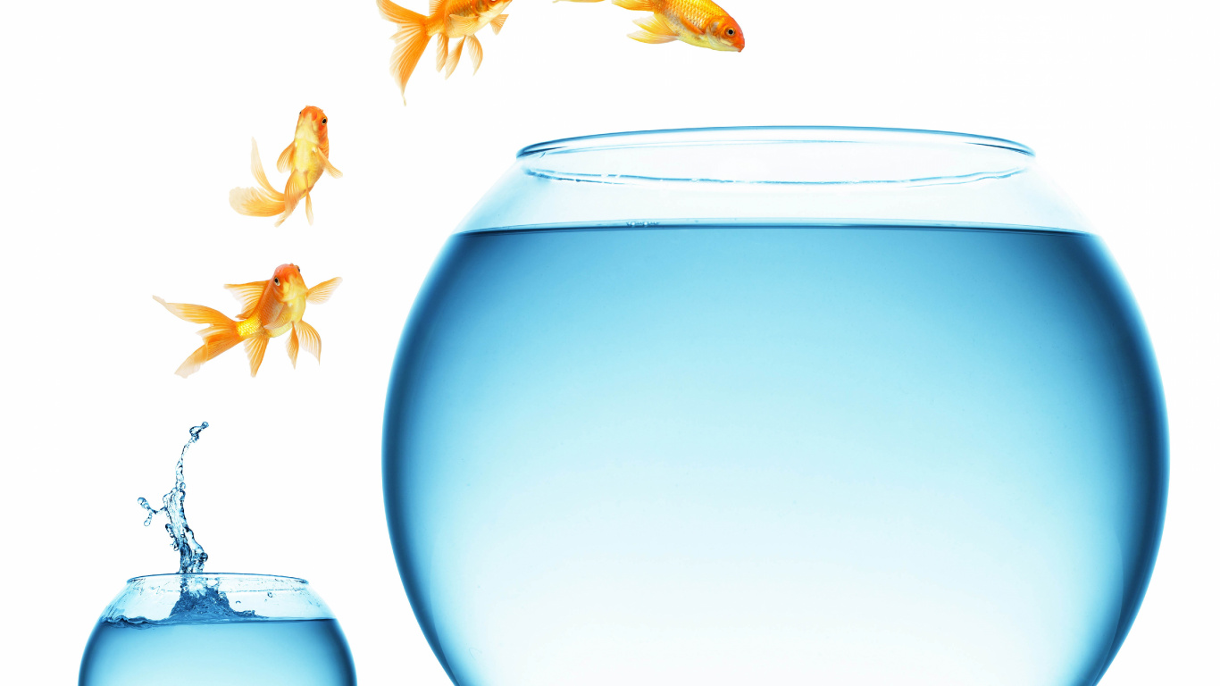 Bocal à Poisson en Verre Clair Avec Des Feuilles Jaunes. Wallpaper in 1366x768 Resolution