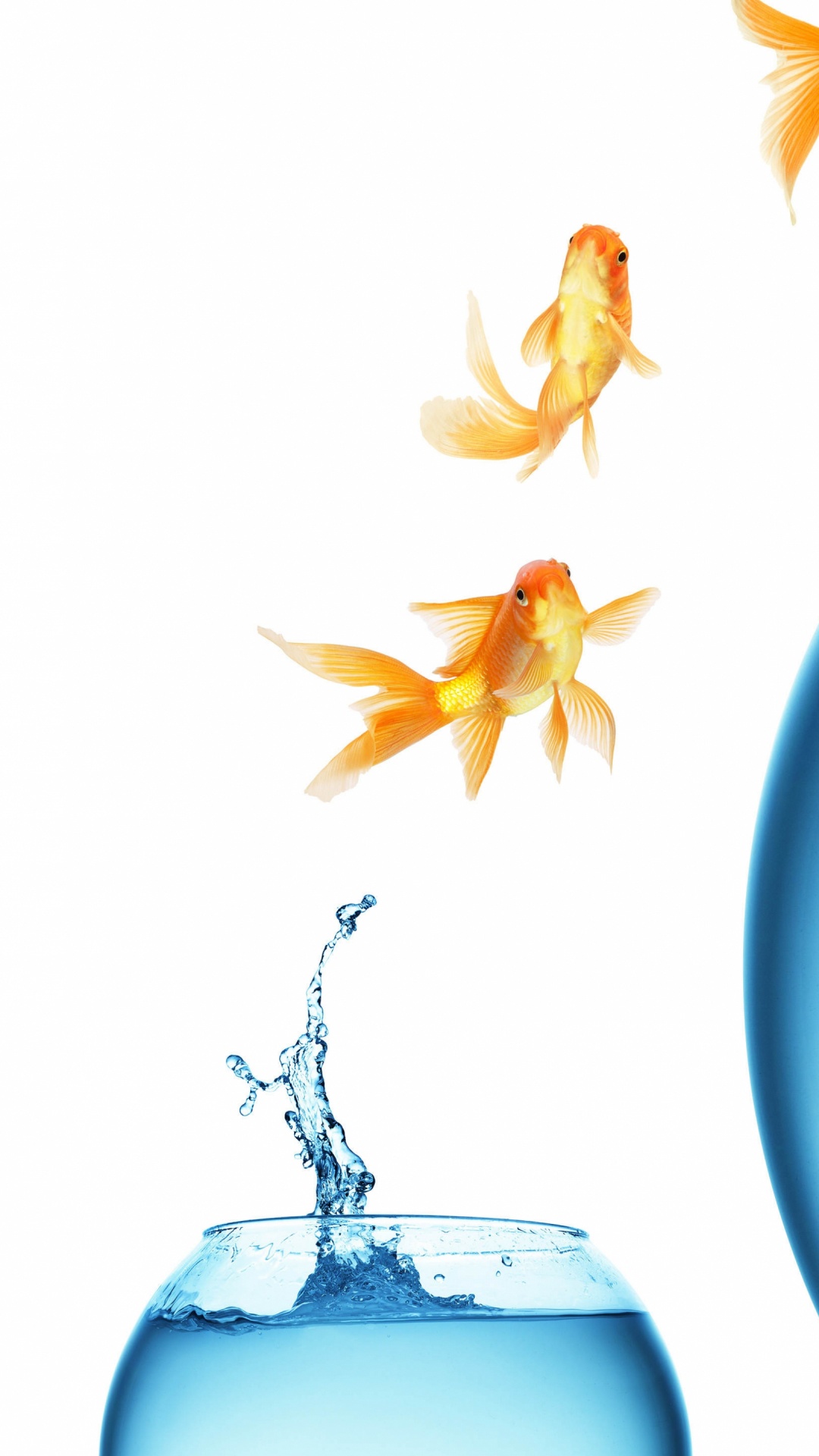 Clear Glass Fish Bowl With Yellow Leaves. Wallpaper in 1080x1920 Resolution