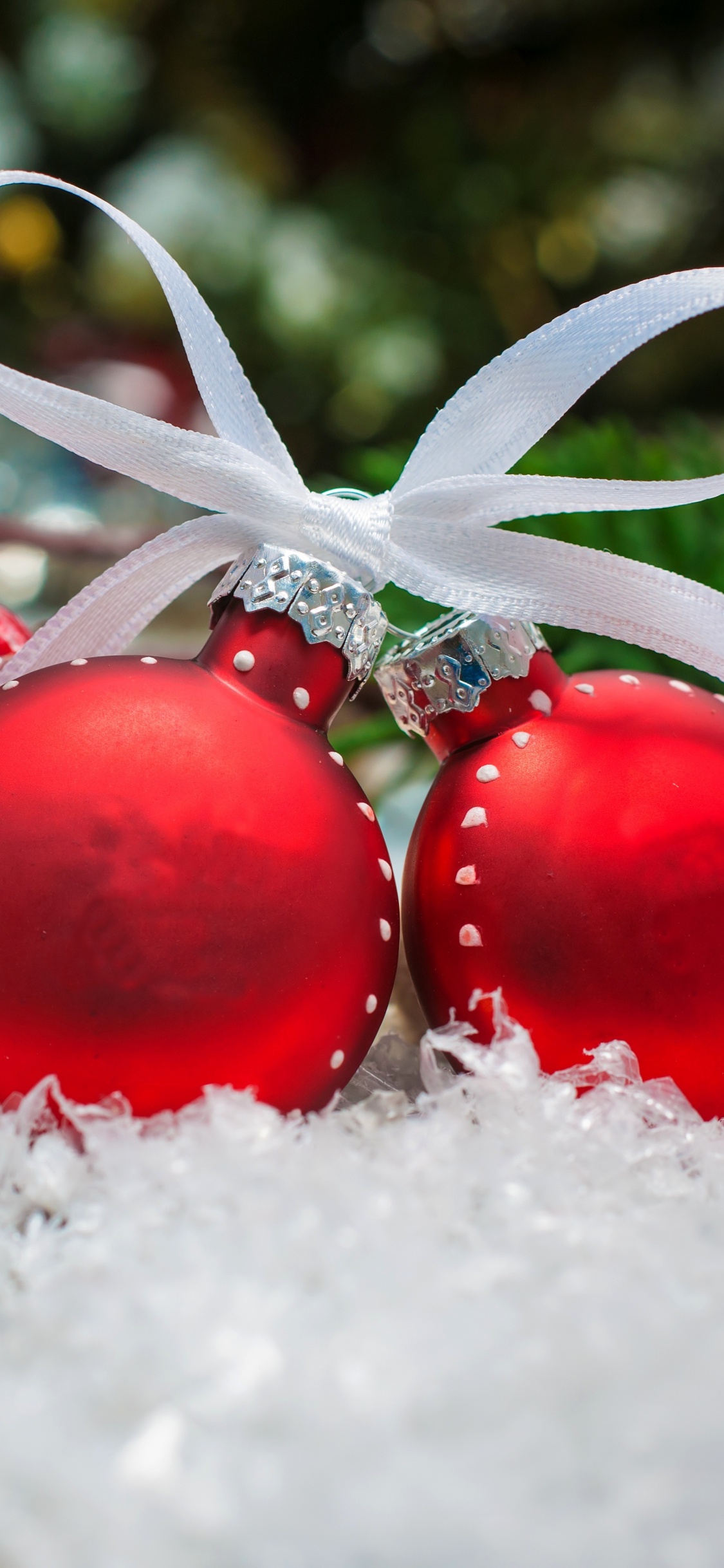 Ornement de Noël, Le Jour De Noël, Décoration de Noël, Nouvelle Année, Fruits. Wallpaper in 1125x2436 Resolution