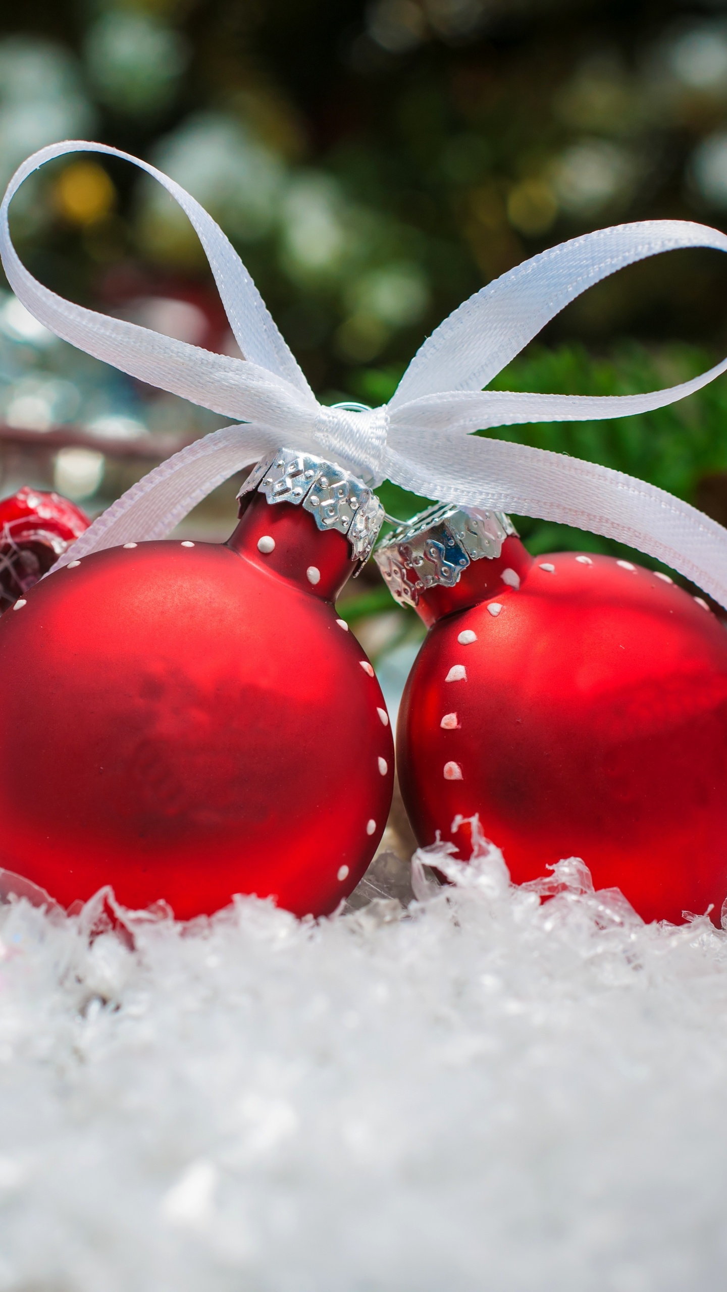 Ornement de Noël, Le Jour De Noël, Décoration de Noël, Nouvelle Année, Fruits. Wallpaper in 1440x2560 Resolution