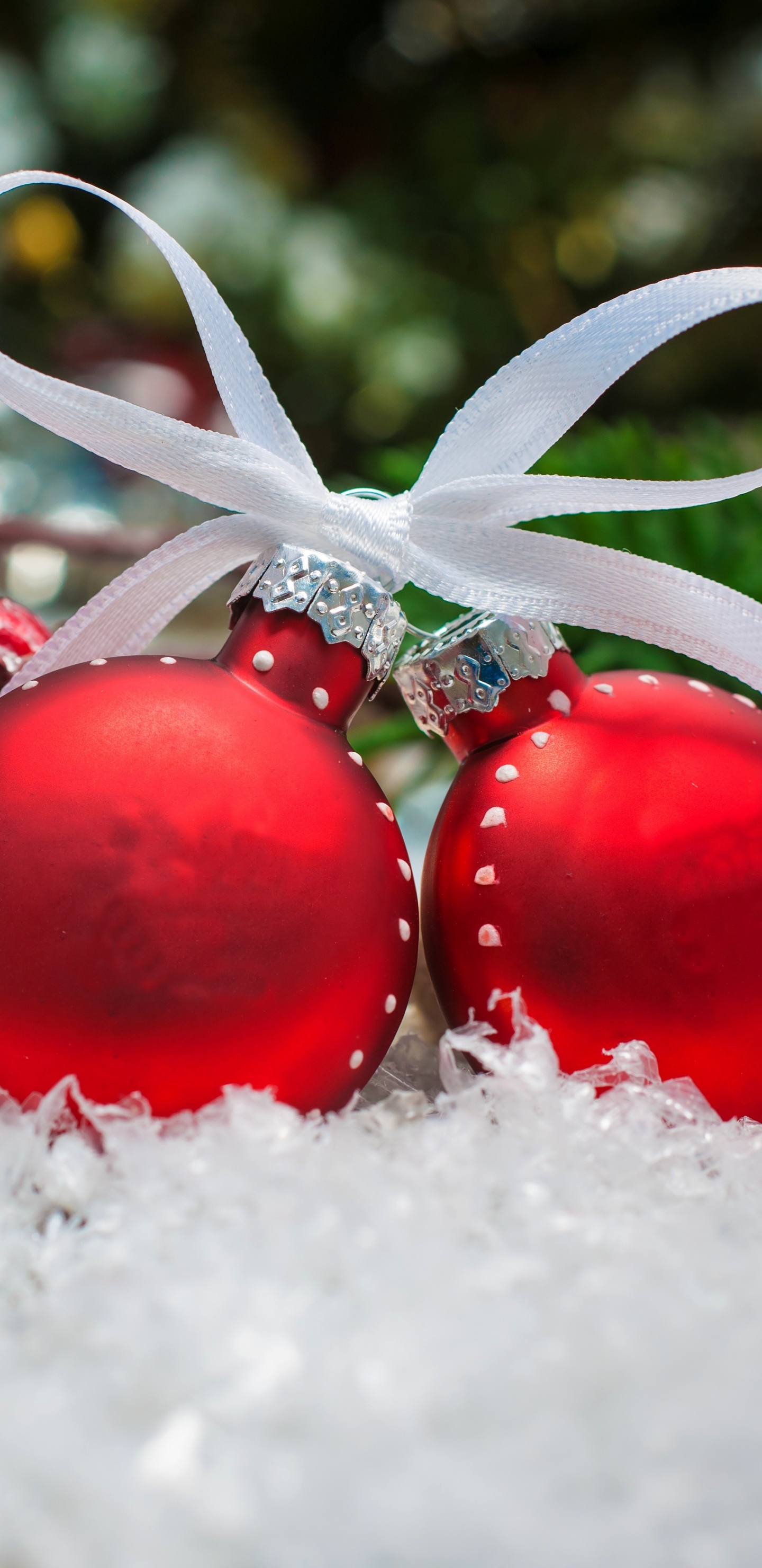 Ornement de Noël, Le Jour De Noël, Décoration de Noël, Nouvelle Année, Fruits. Wallpaper in 1440x2960 Resolution