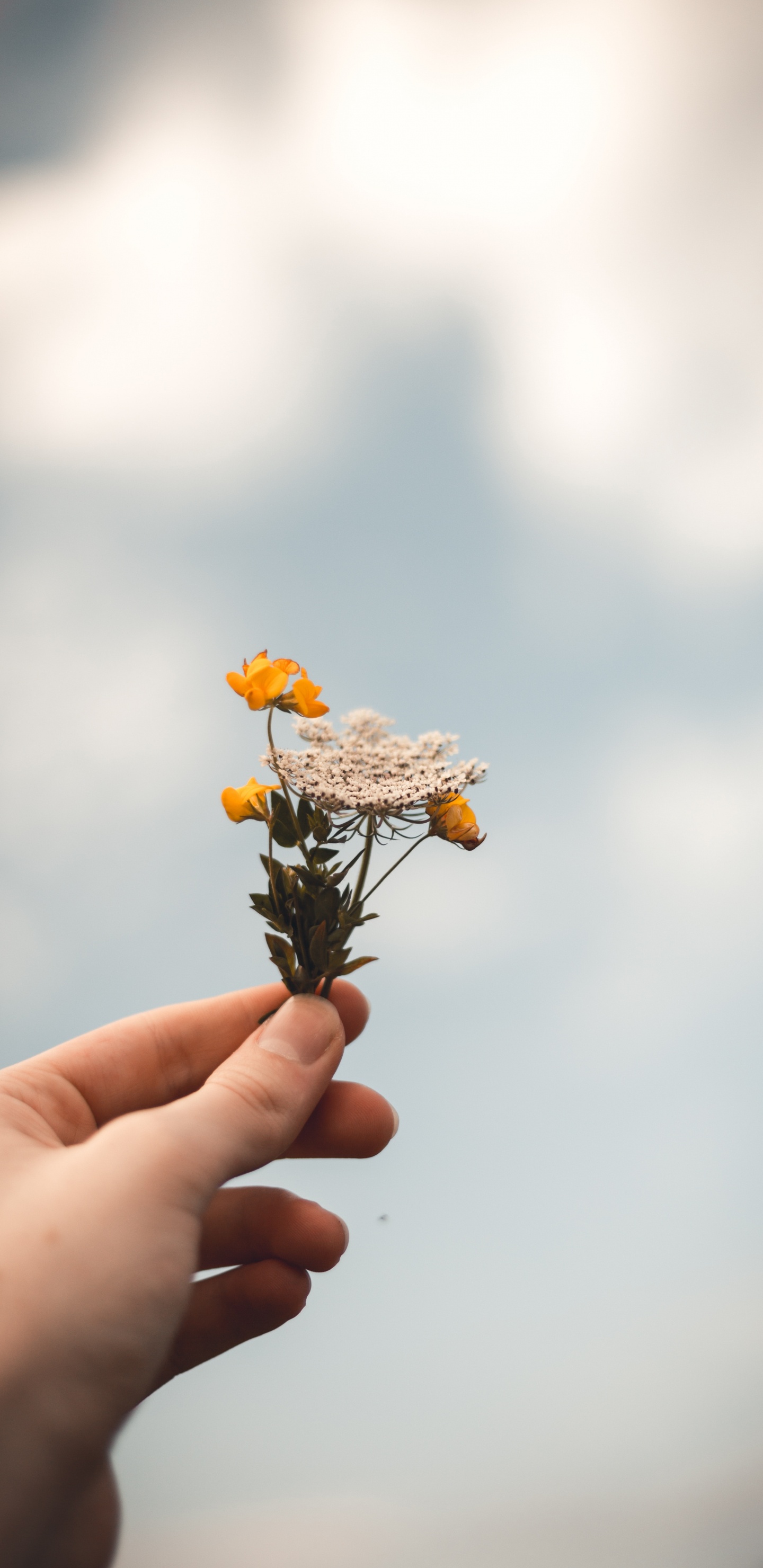 Person Mit Gelber Und Brauner Blume. Wallpaper in 1440x2960 Resolution