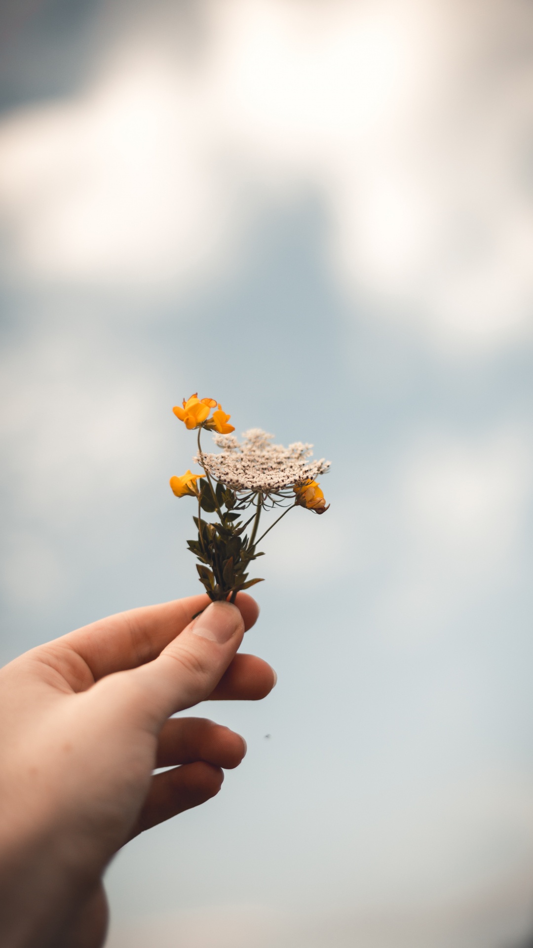 Person Holding Yellow and Brown Flower. Wallpaper in 1080x1920 Resolution