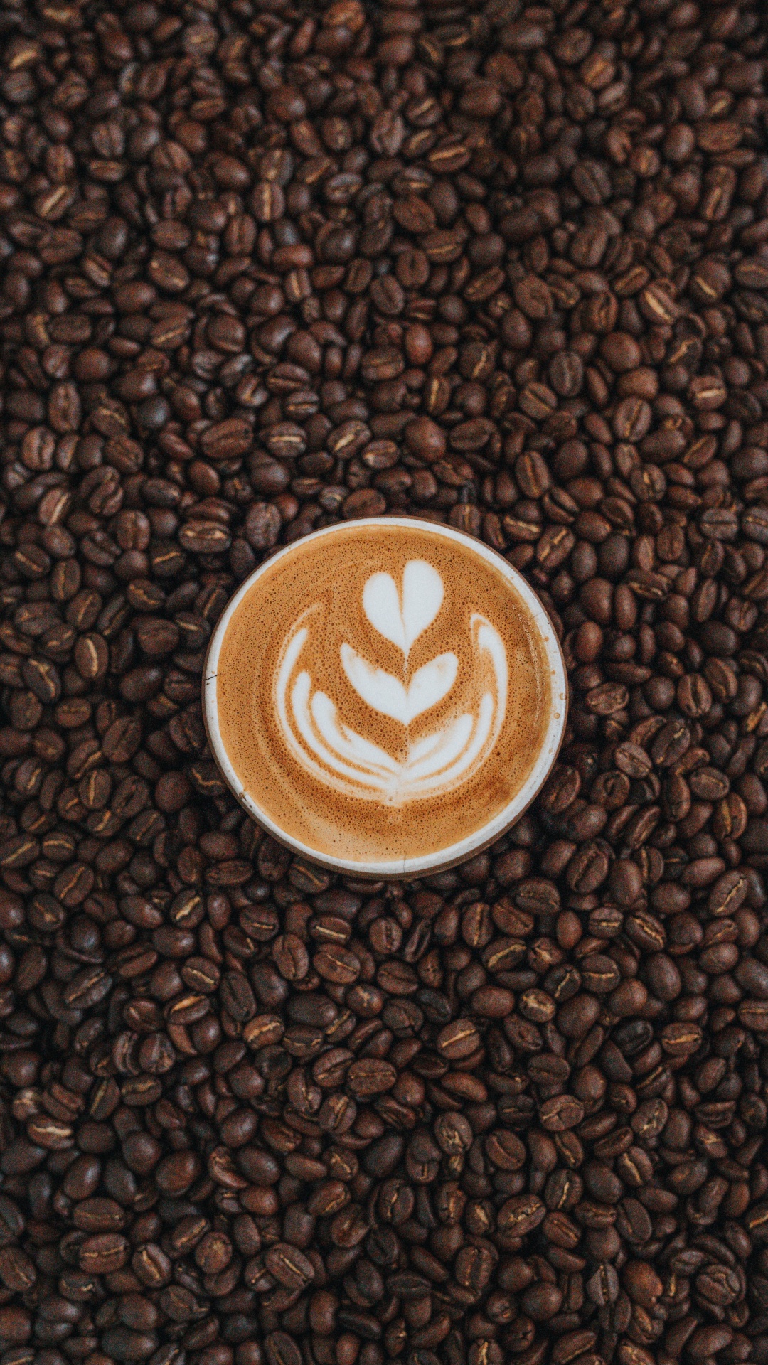 Tasse en Céramique Blanche Sur Des Grains de Café Bruns. Wallpaper in 1080x1920 Resolution