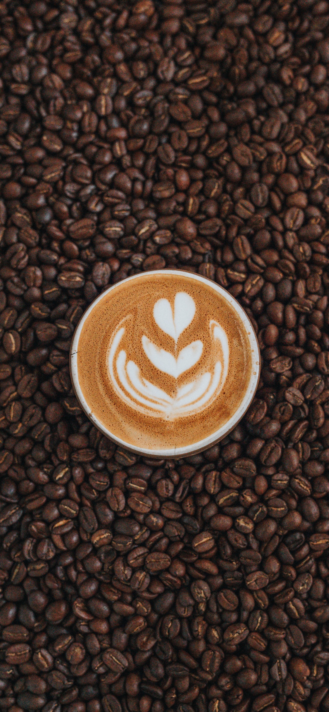 Tasse en Céramique Blanche Sur Des Grains de Café Bruns. Wallpaper in 1125x2436 Resolution