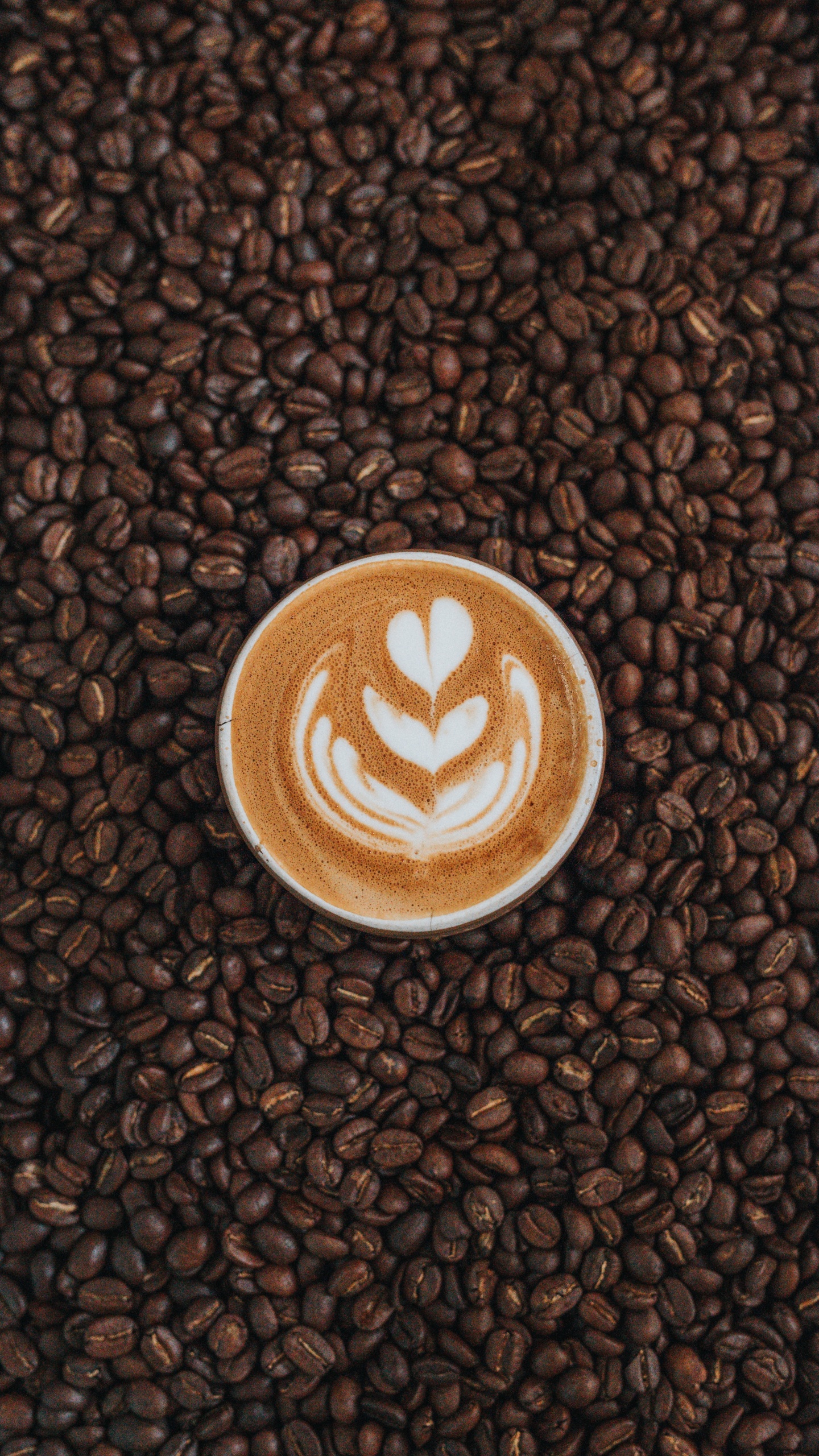 Tasse en Céramique Blanche Sur Des Grains de Café Bruns. Wallpaper in 1440x2560 Resolution